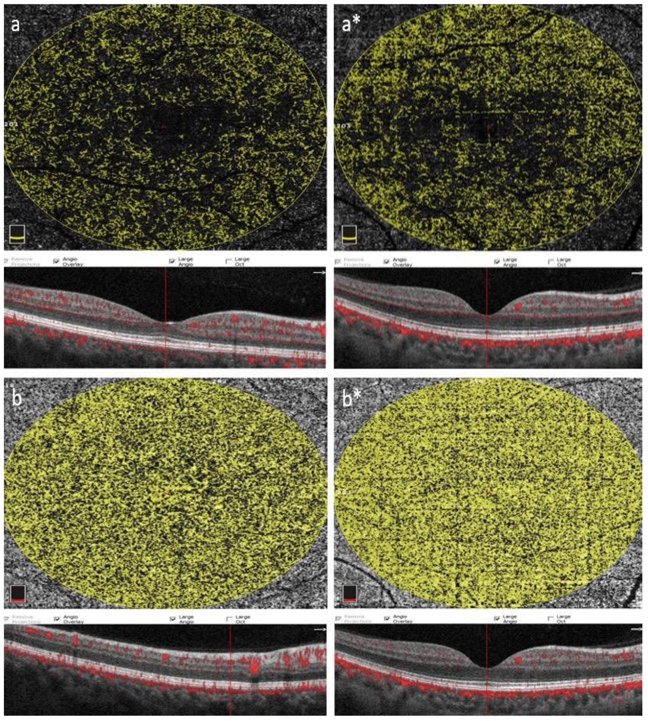 Diagnostics 13 03651 g002