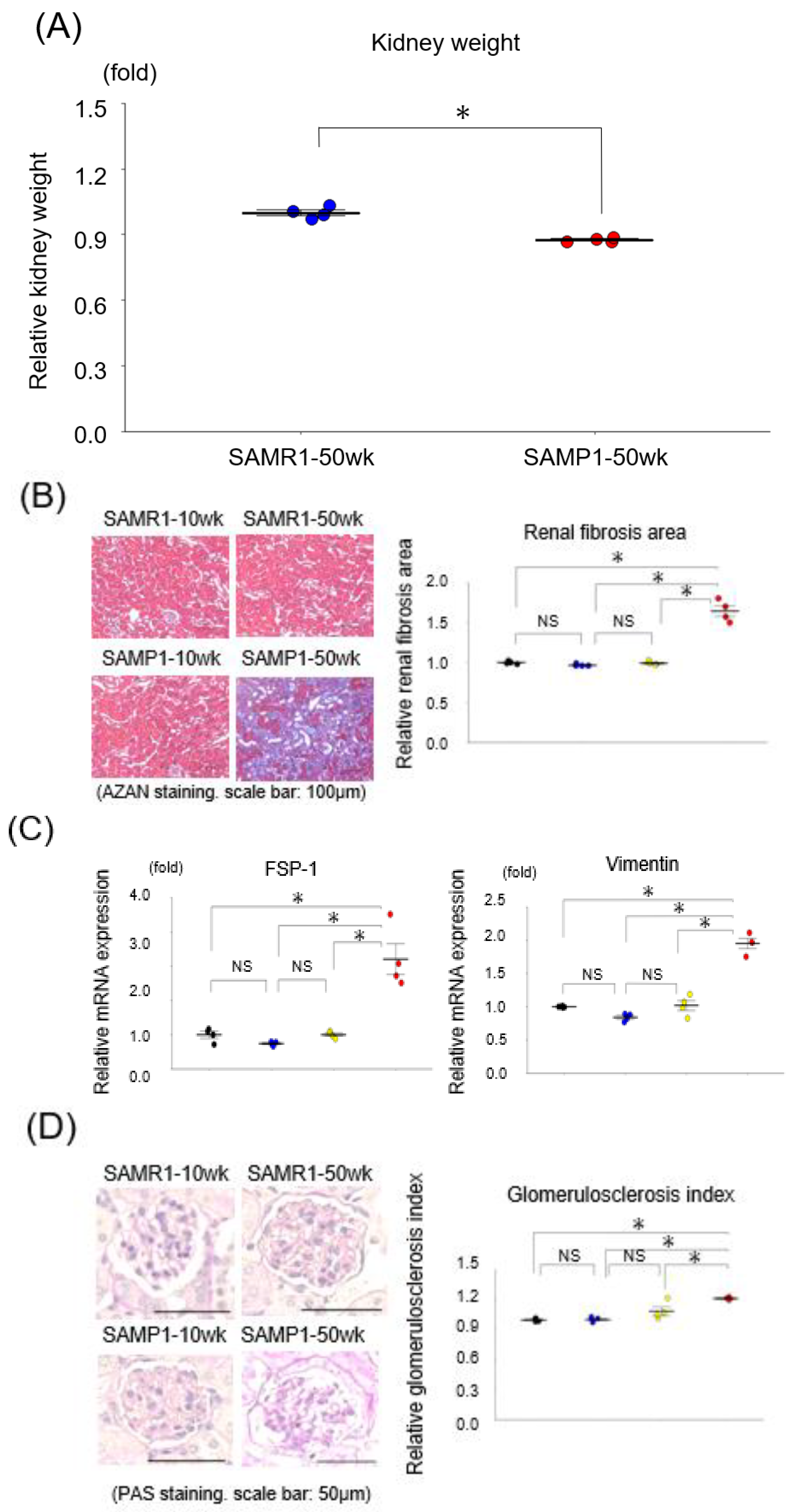 Diagnostics 13 03653 g001a Diagnostics 13 03653 g001a