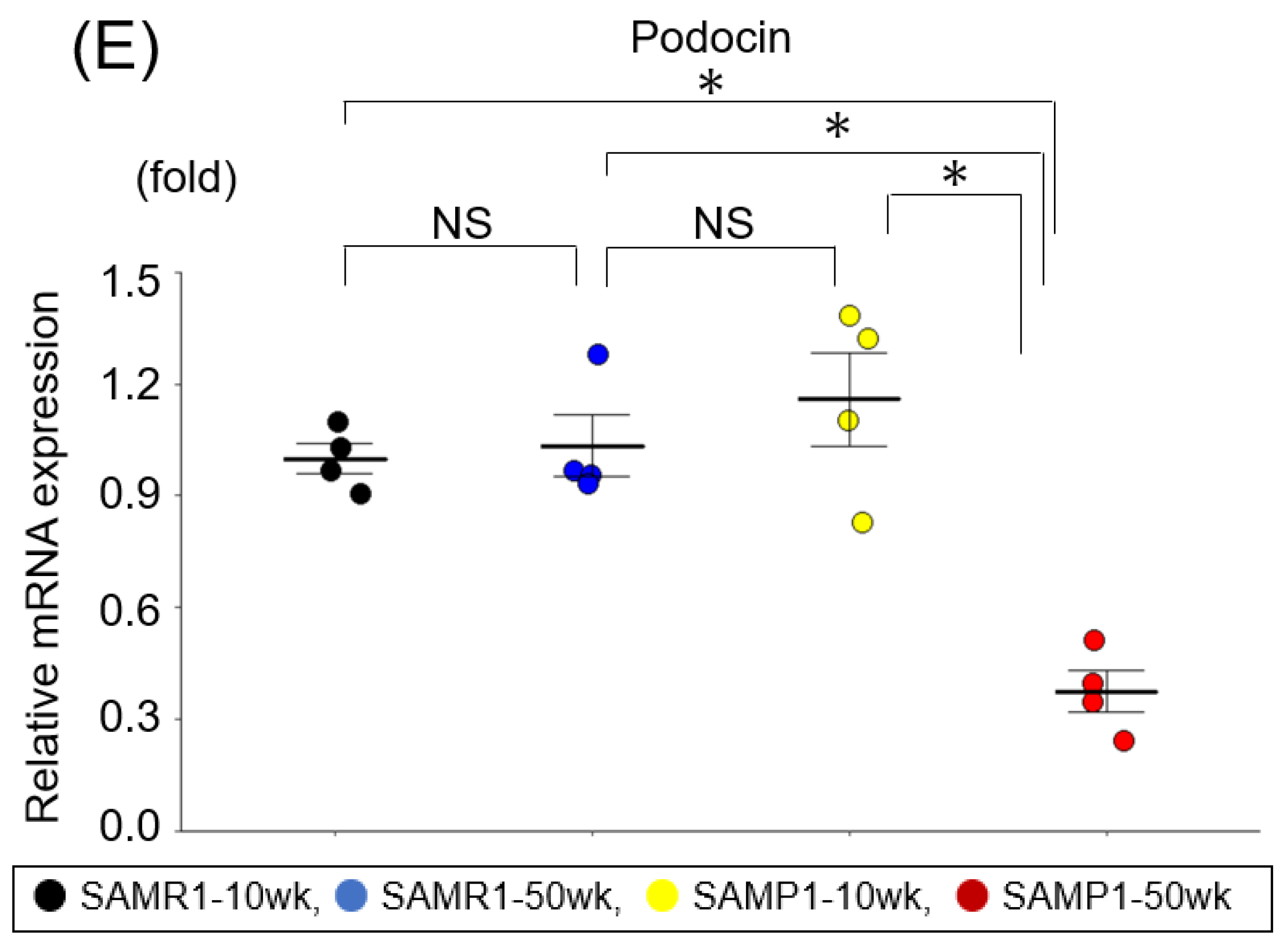 Diagnostics 13 03653 g001b Diagnostics 13 03653 g001b