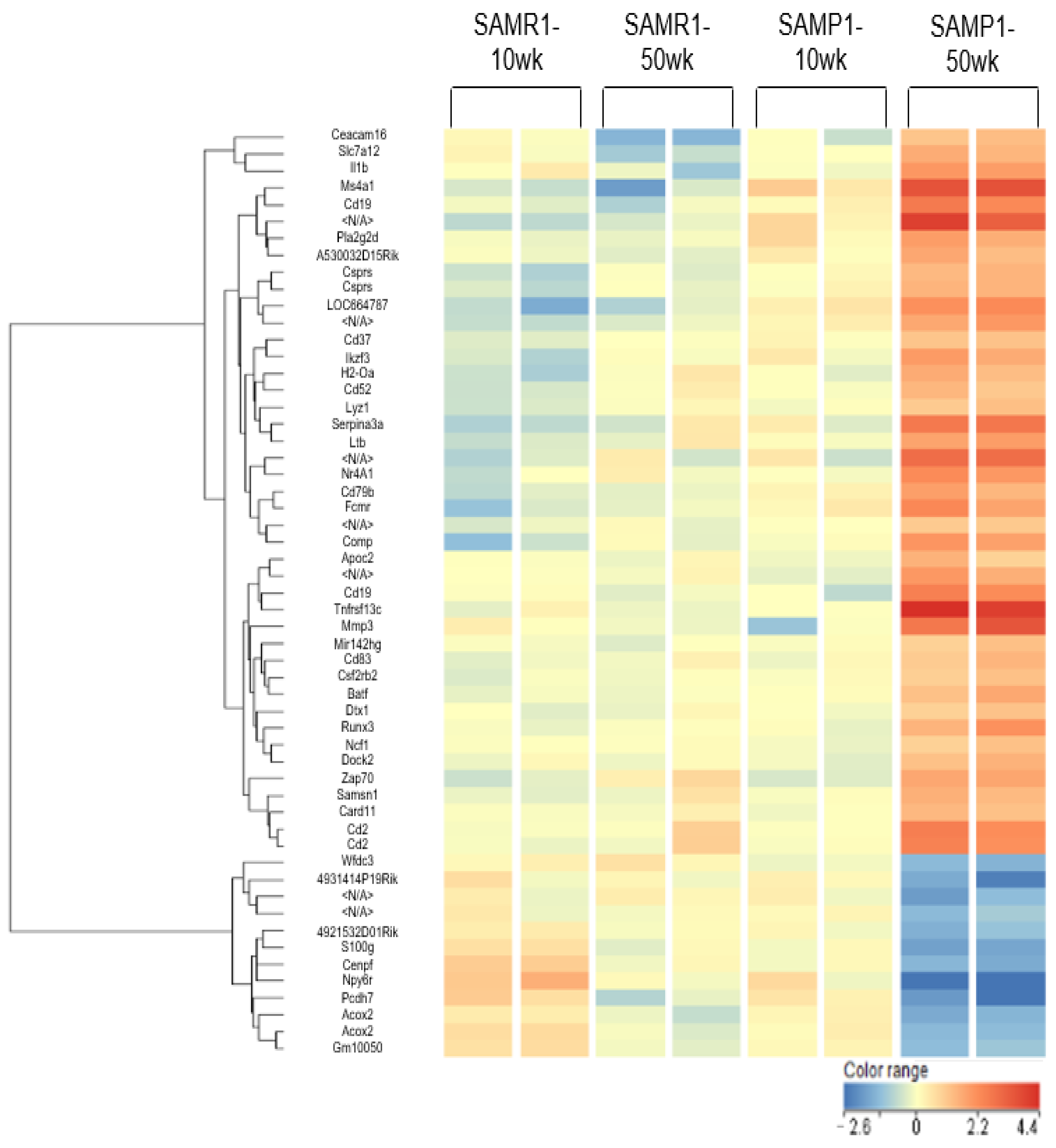 Diagnostics 13 03653 g002 Diagnostics 13 03653 g002