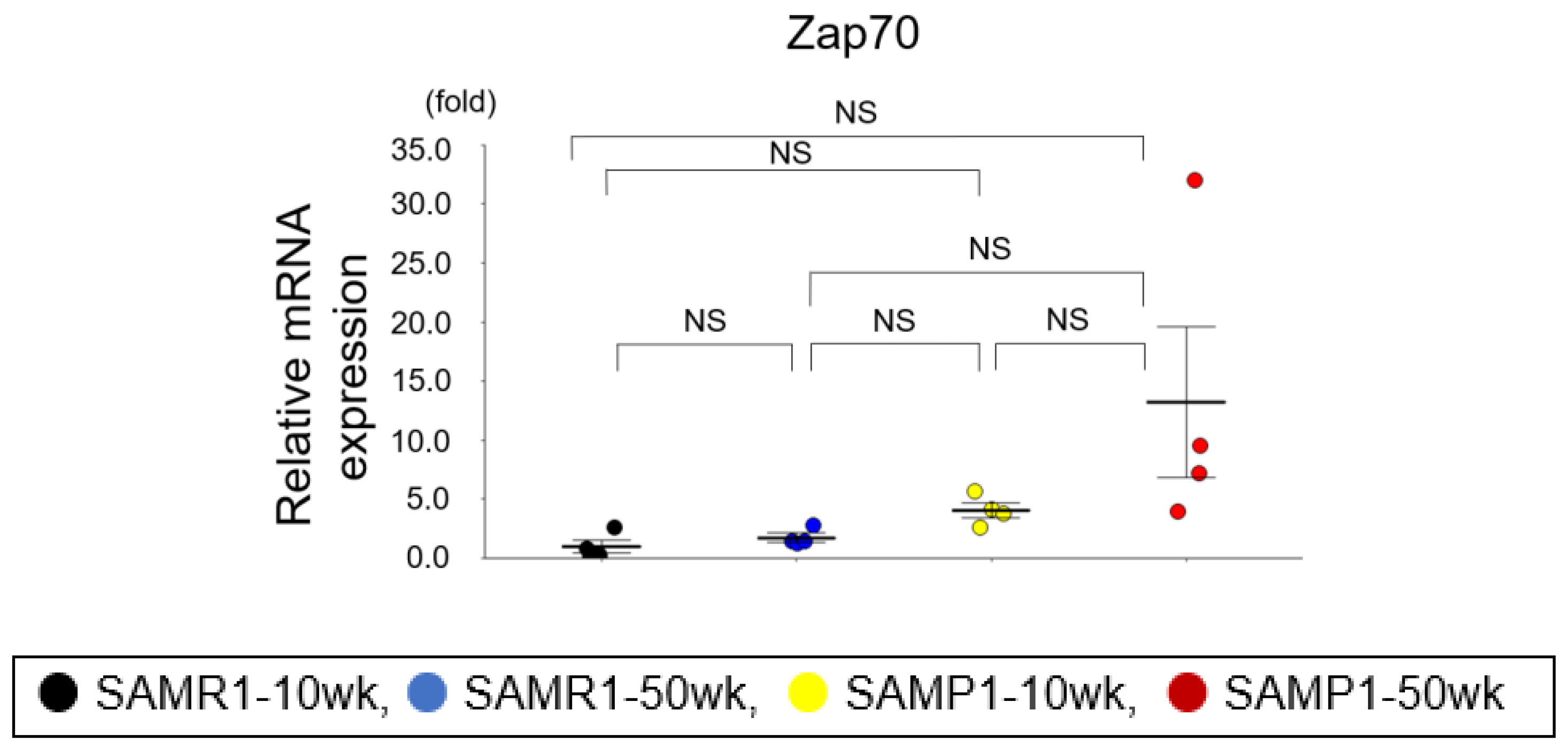 Diagnostics 13 03653 g003d Diagnostics 13 03653 g003d