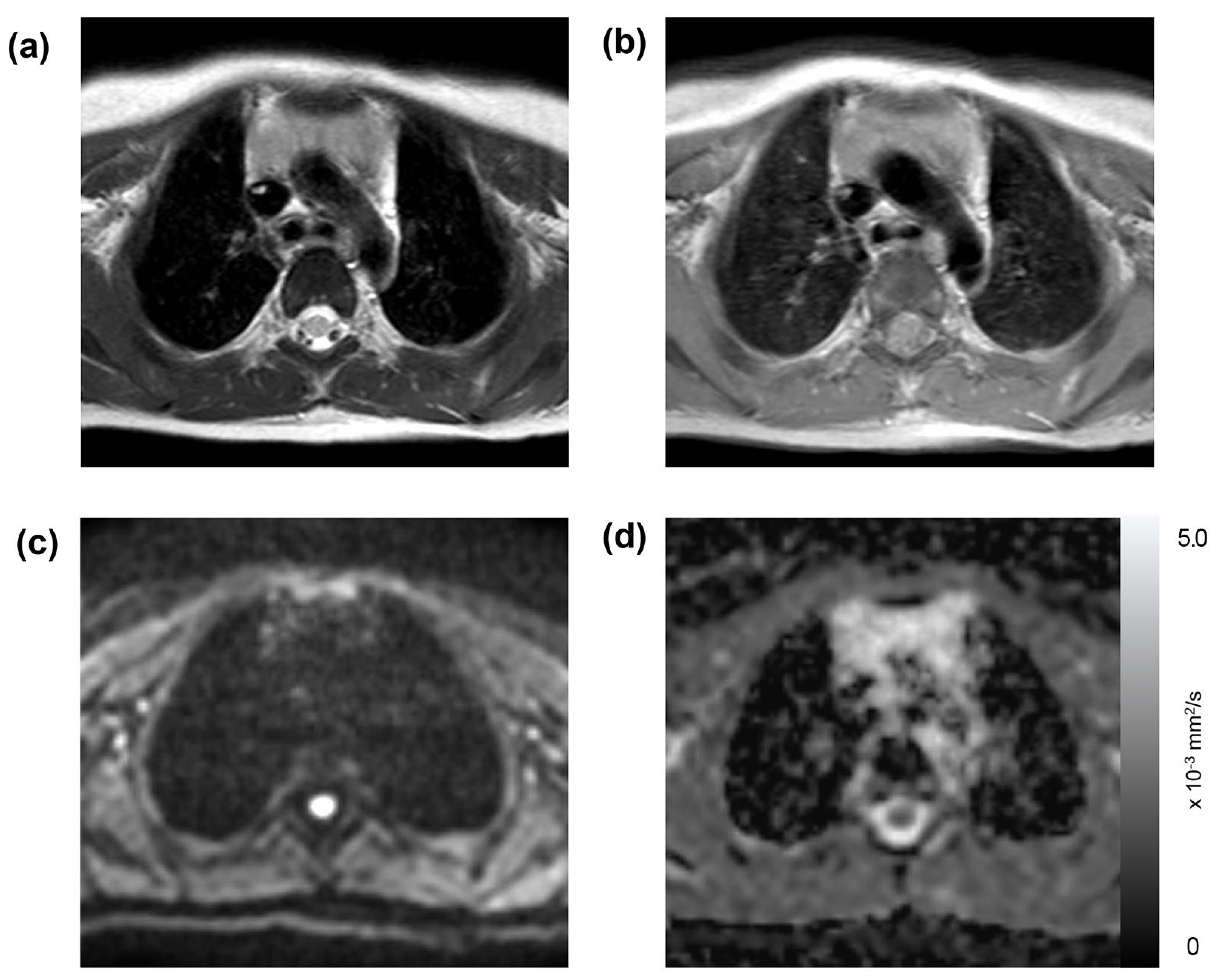 Diagnostics 13 03654 g004