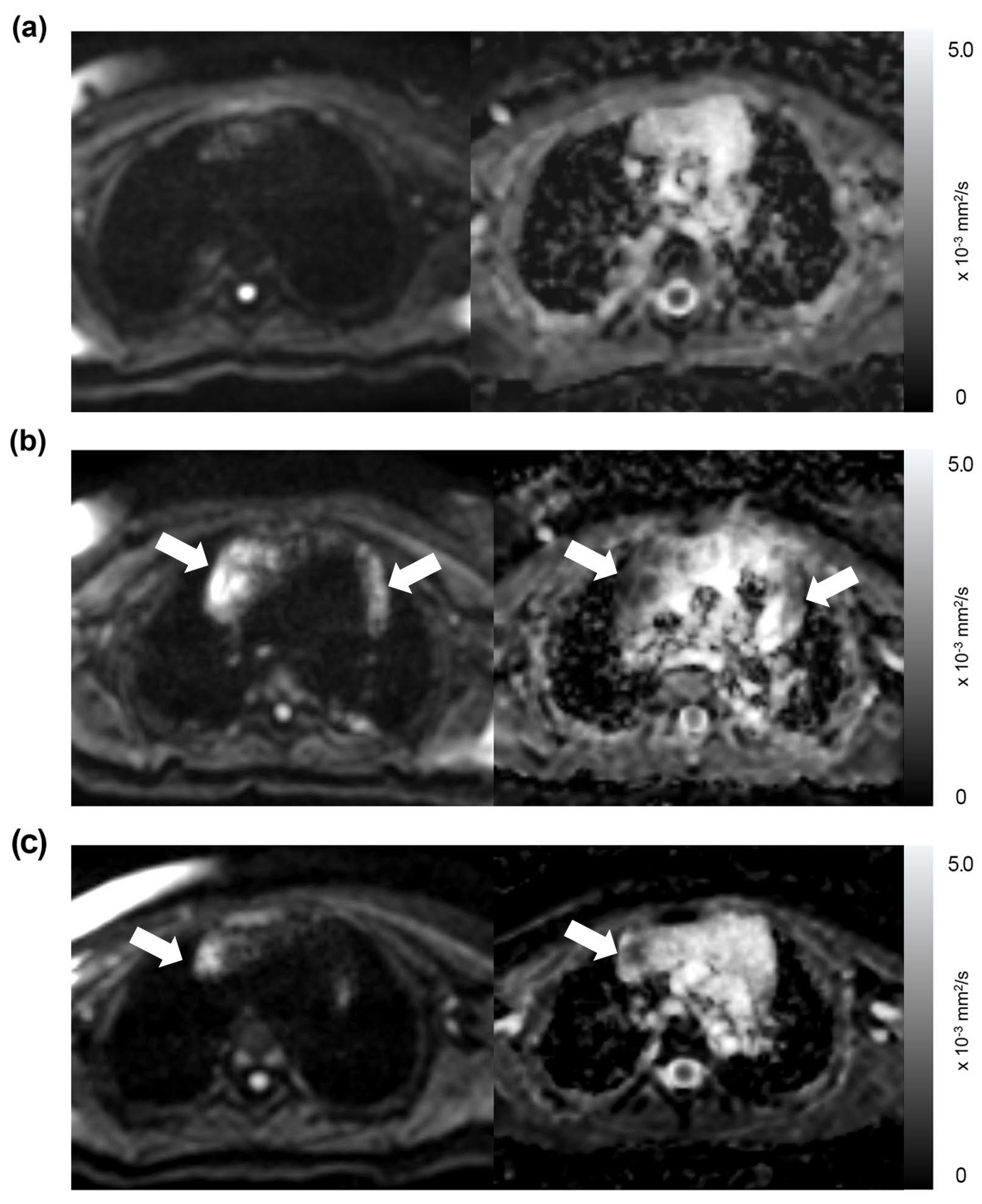 Diagnostics 13 03654 g007