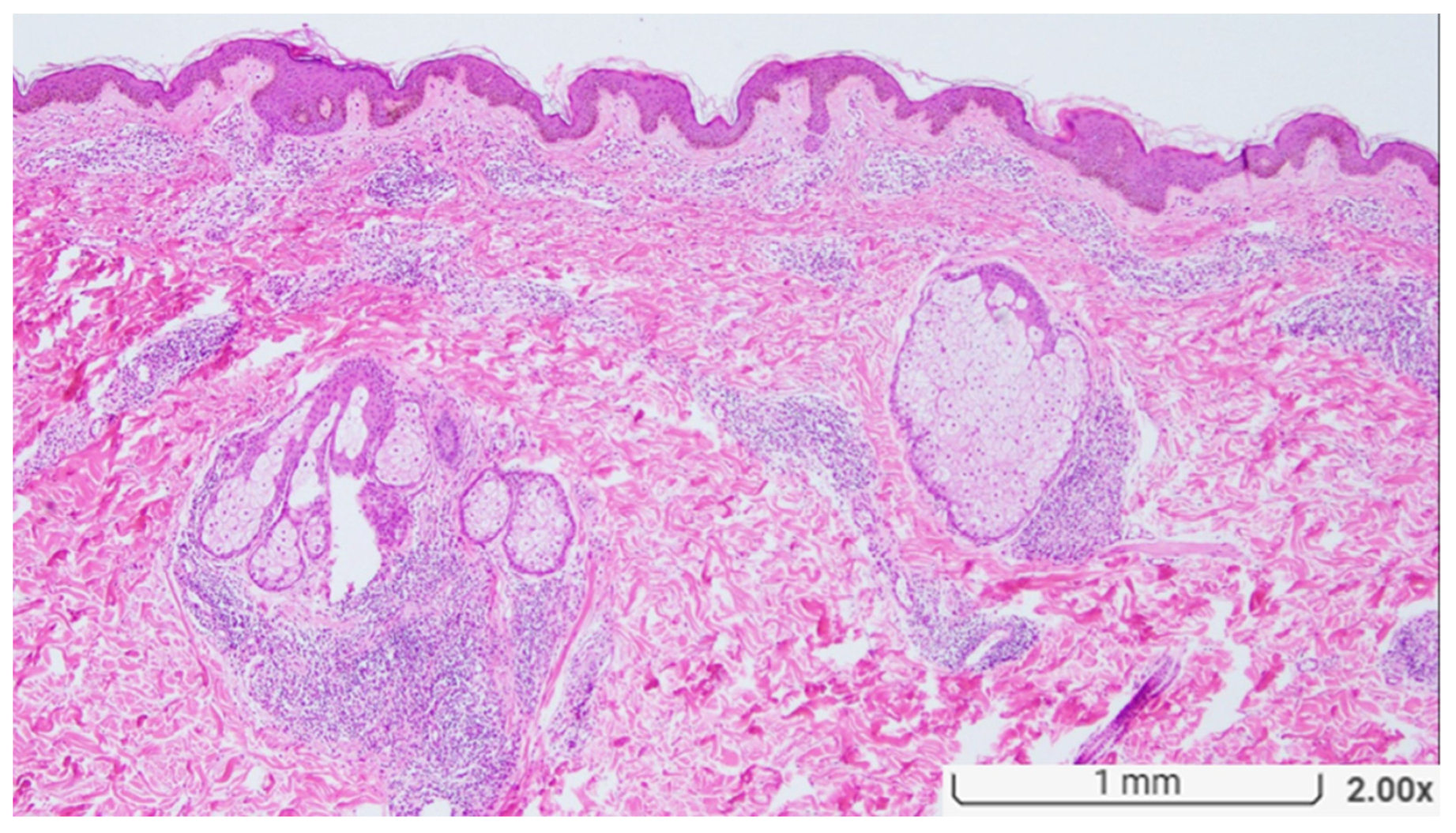 Diagnostics 13 03655 g001