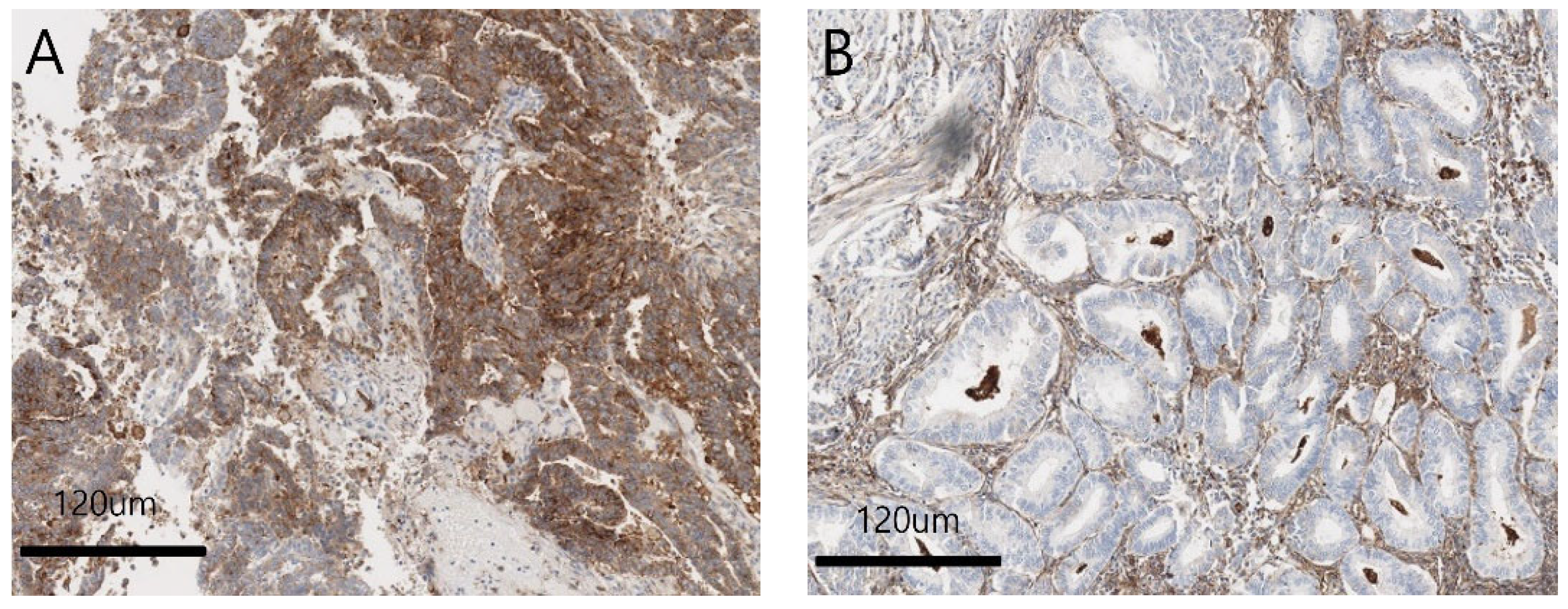 Diagnostics 13 03660 g001