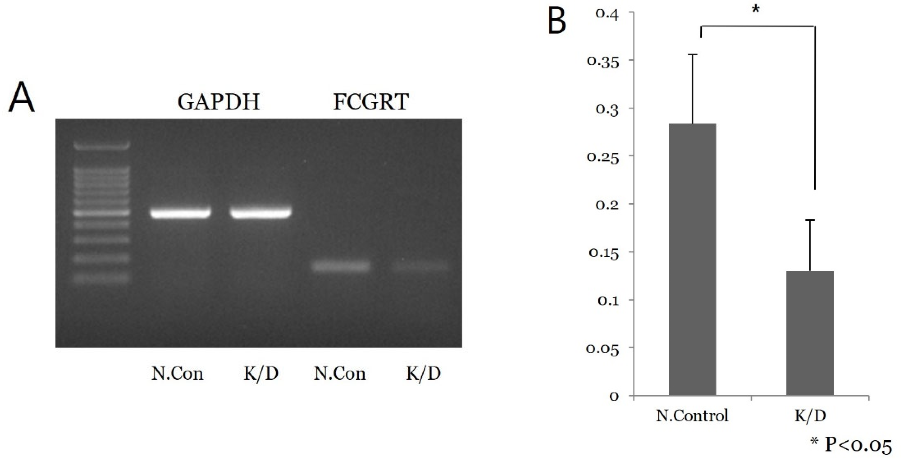 Diagnostics 13 03660 g002