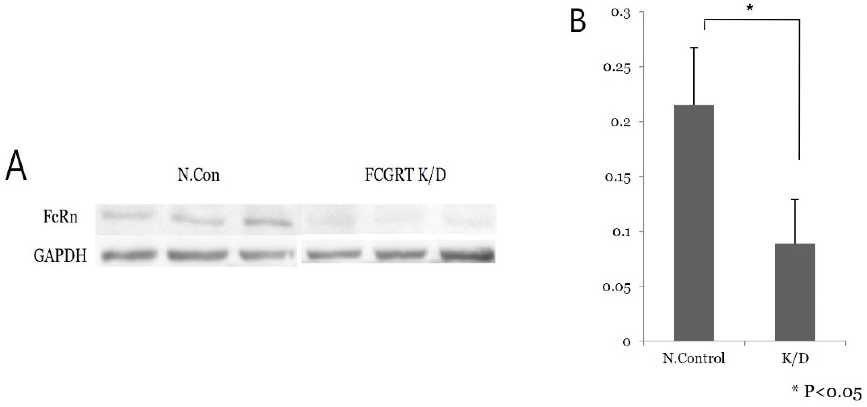 Diagnostics 13 03660 g003