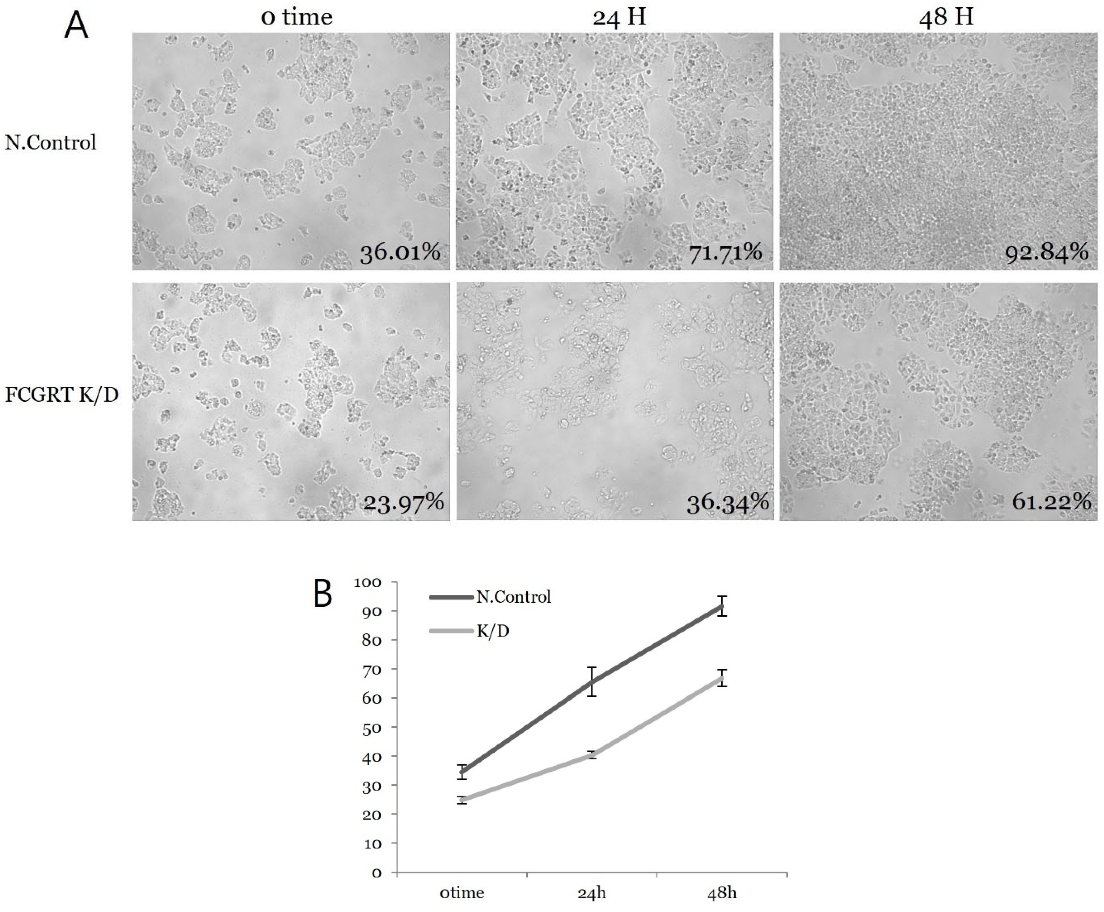 Diagnostics 13 03660 g004