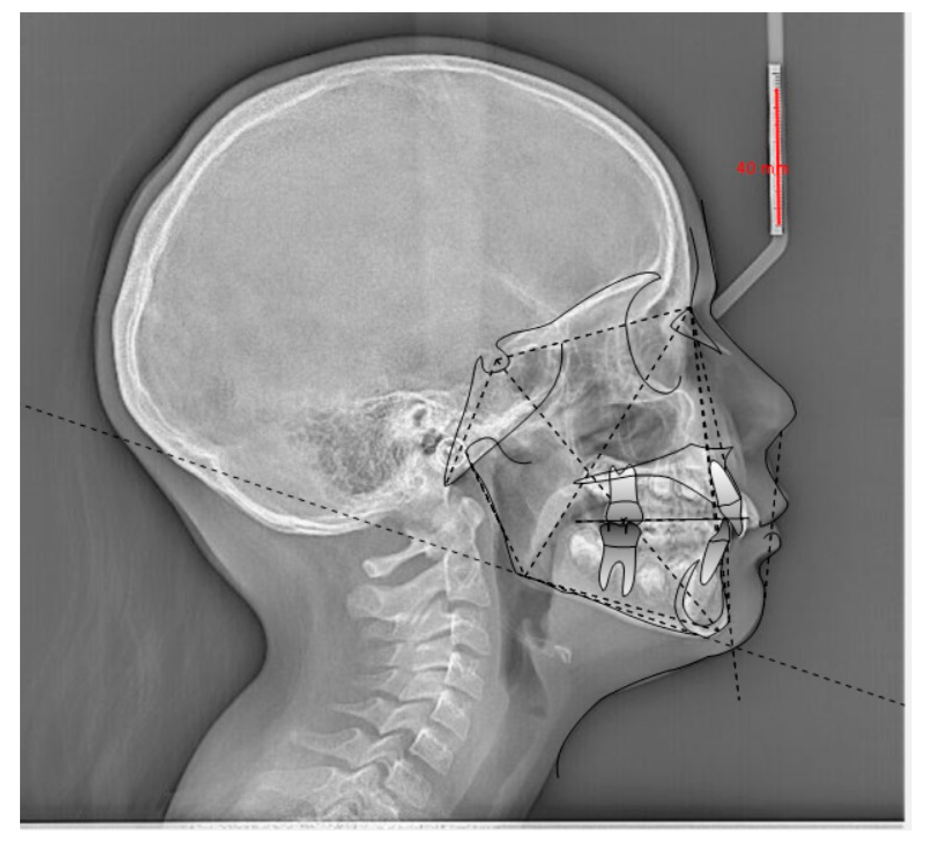 Diagnostics 13 03677 g001