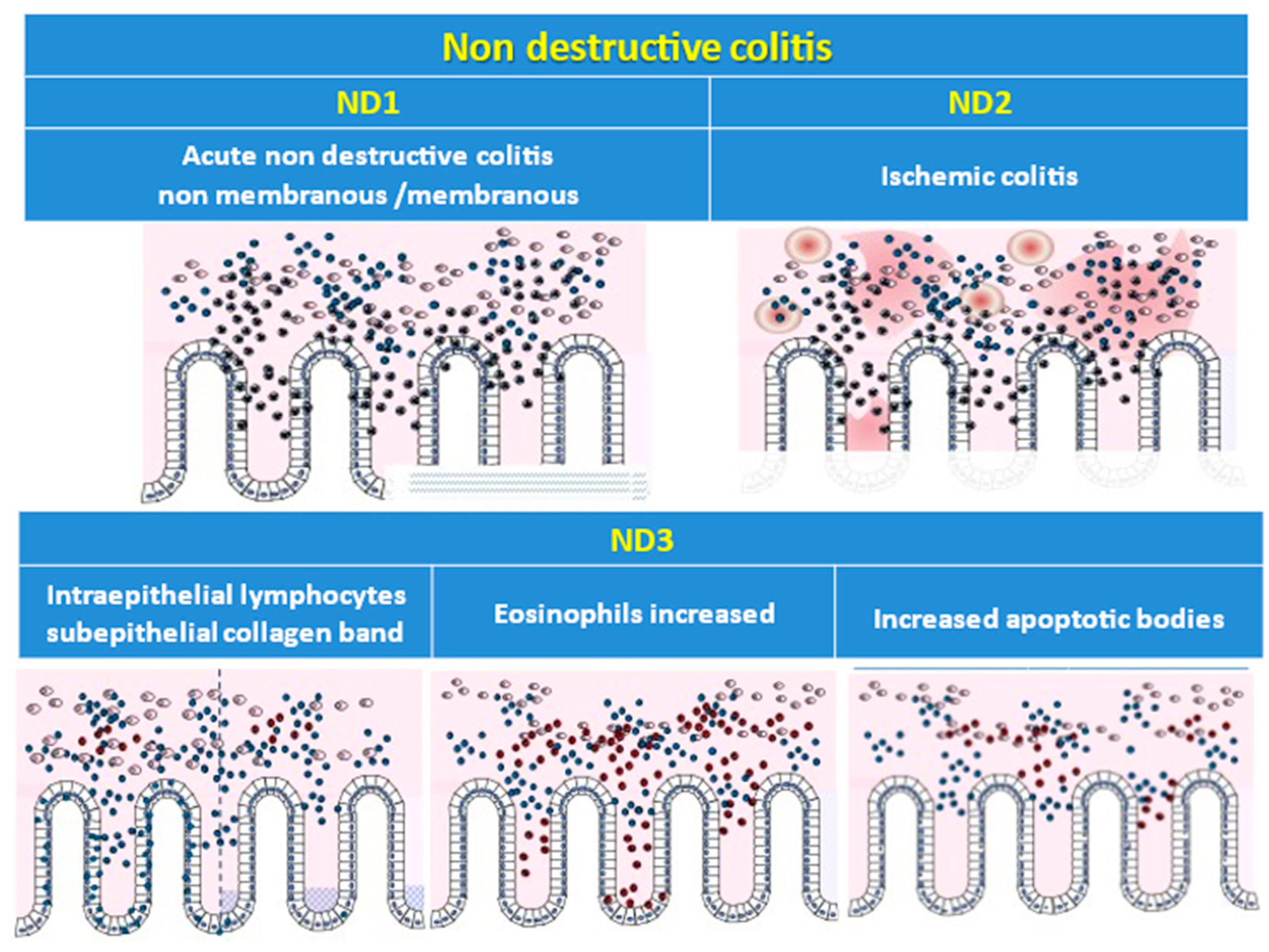 Diagnostics 13 03684 g002b