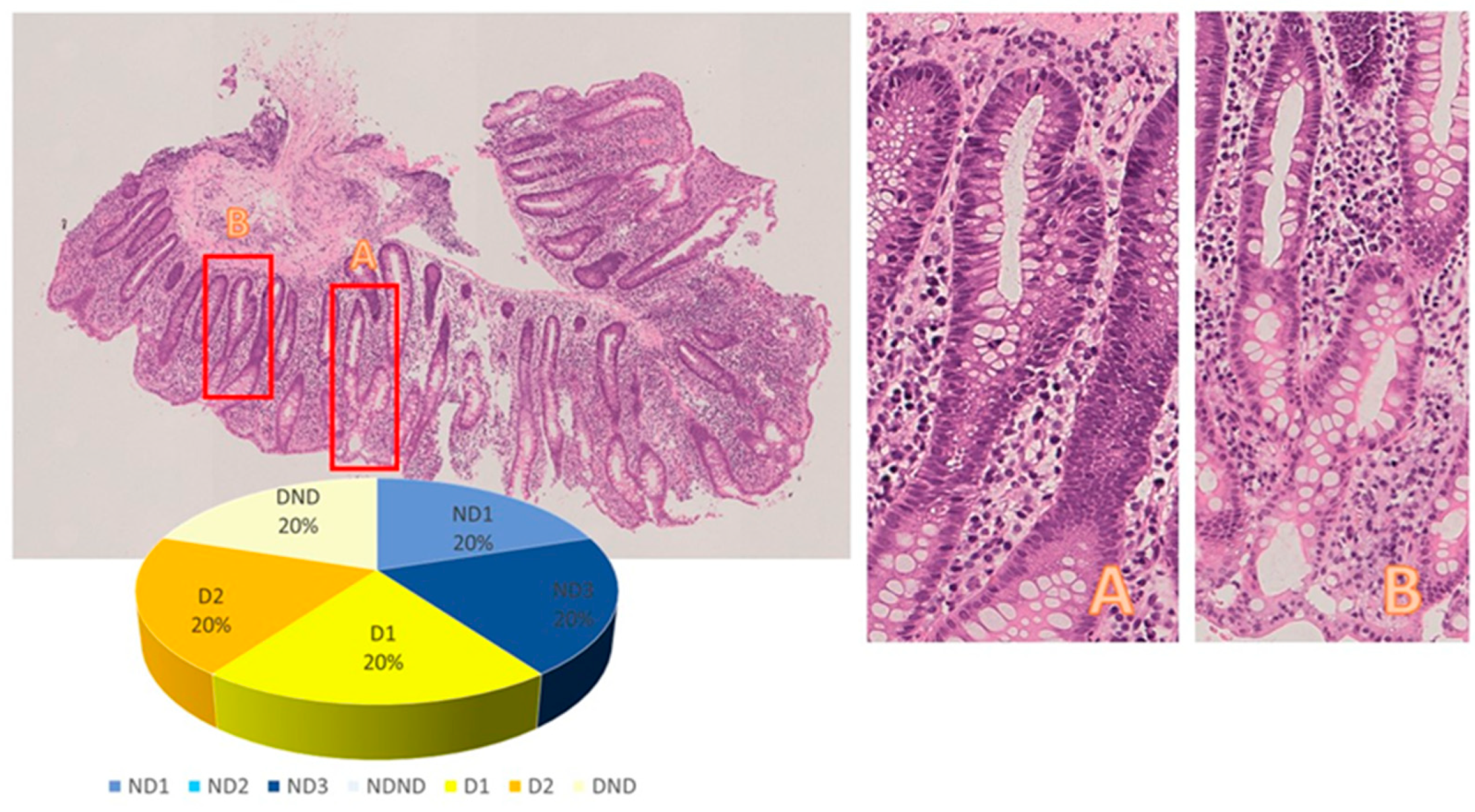 Diagnostics 13 03684 g003
