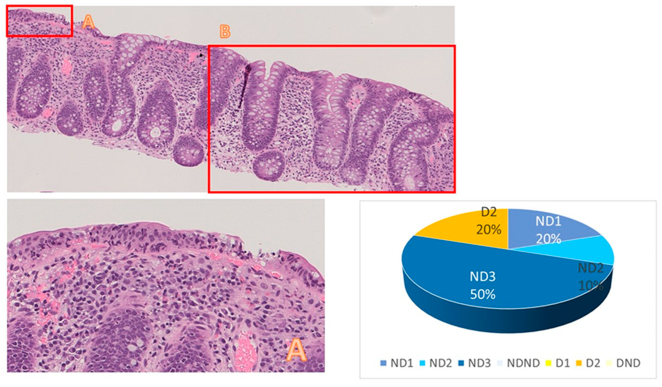 Diagnostics 13 03684 g004