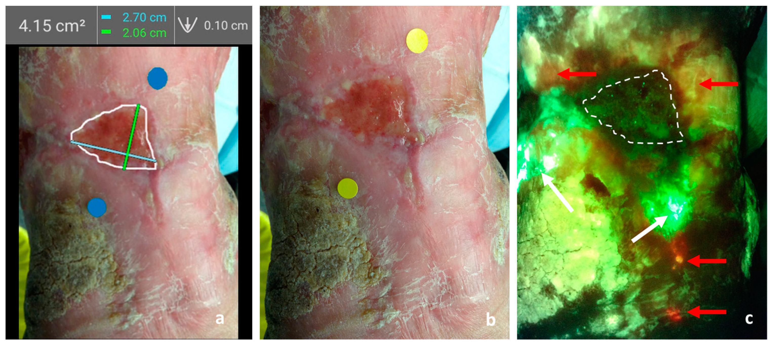 Diagnostics 14 00002 g001