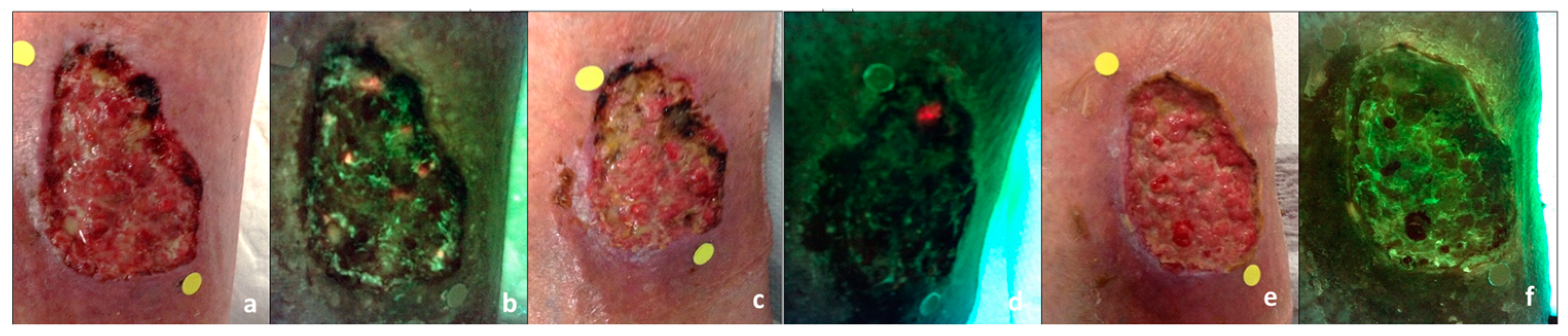 Diagnostics 14 00002 g004