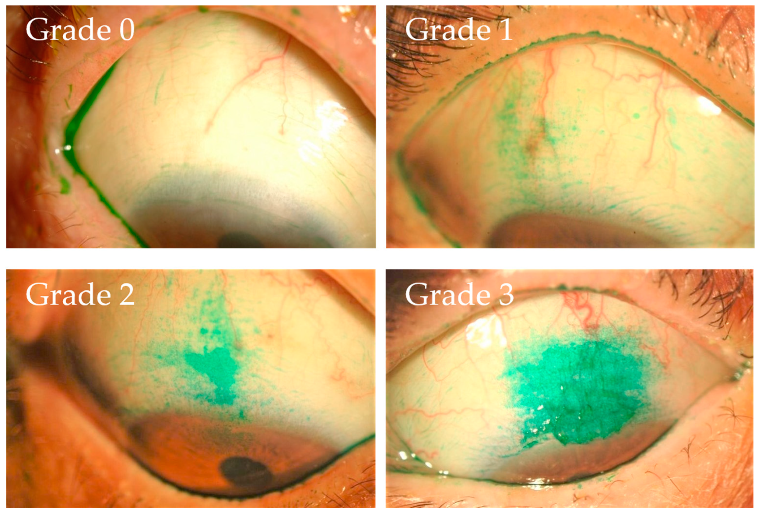 Diagnostics 14 00003 g001