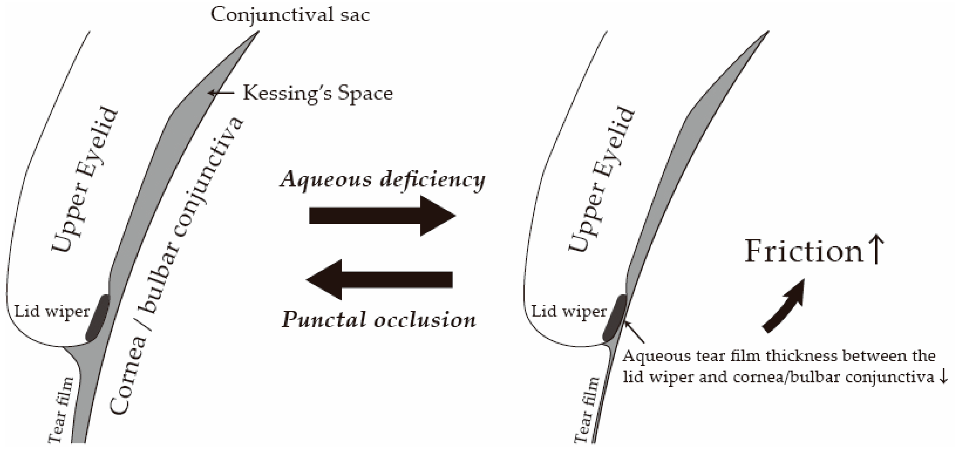 Diagnostics 14 00003 g005