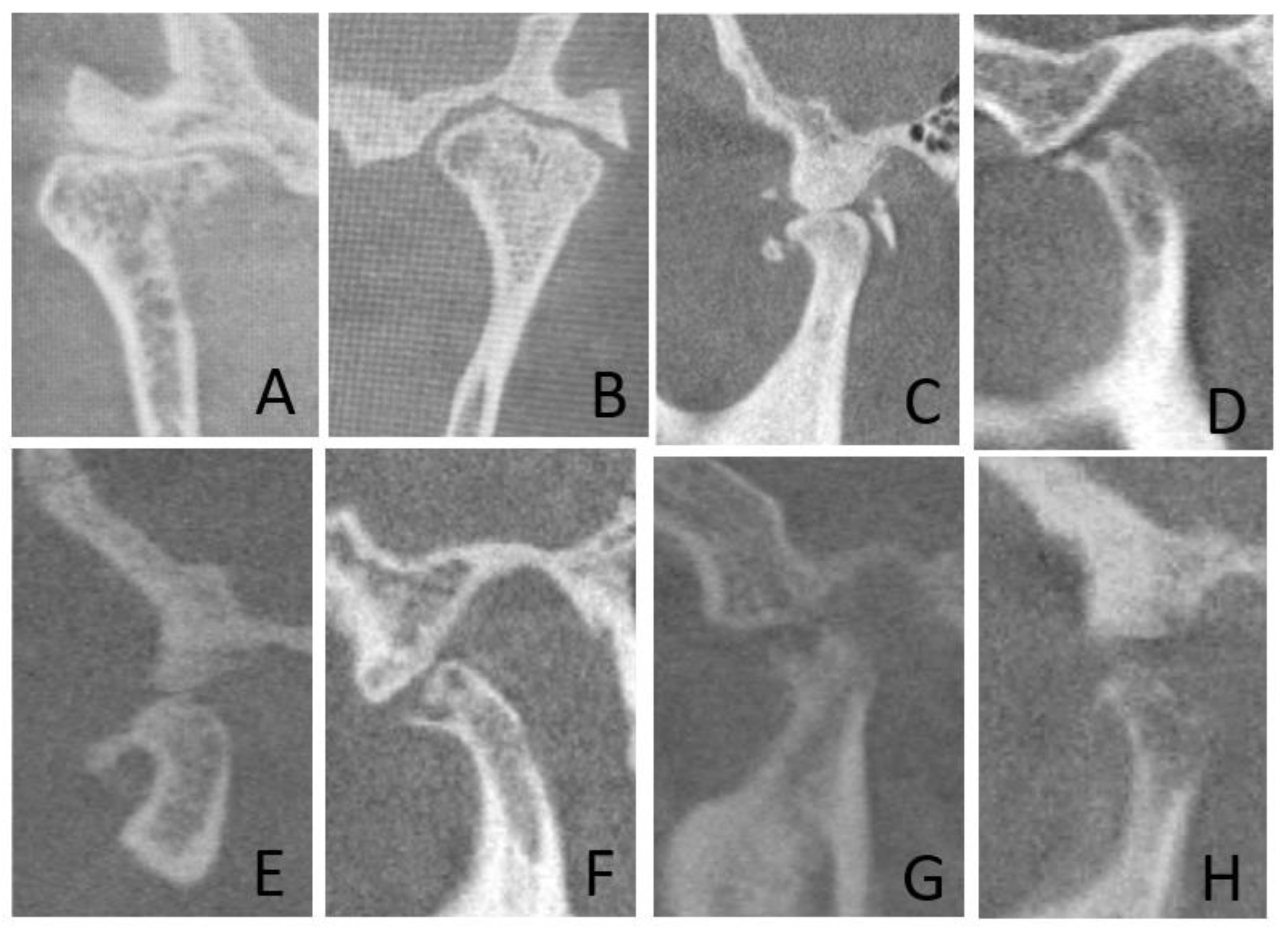 Diagnostics 14 00004 g002