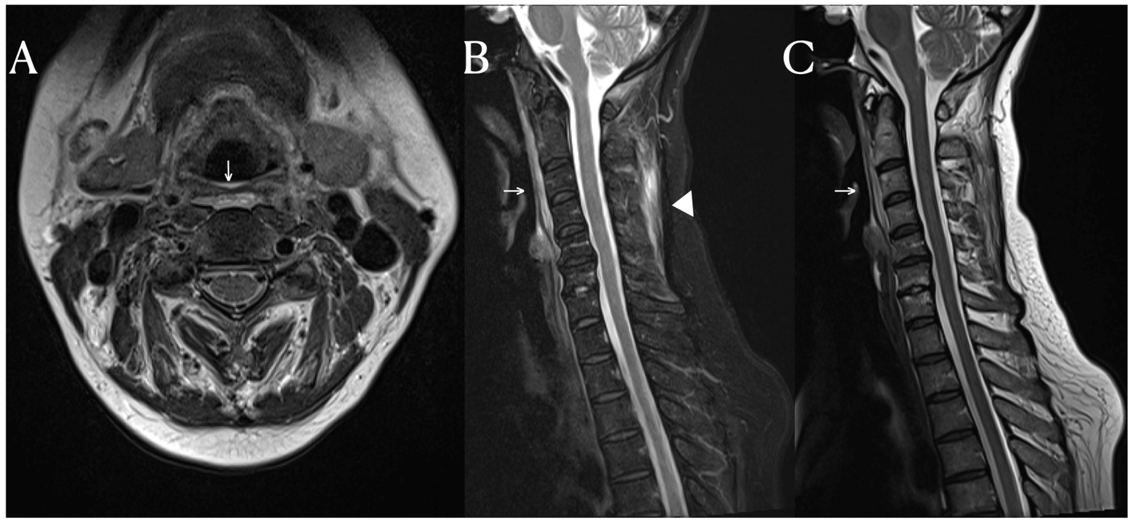 Diagnostics 14 00010 g001