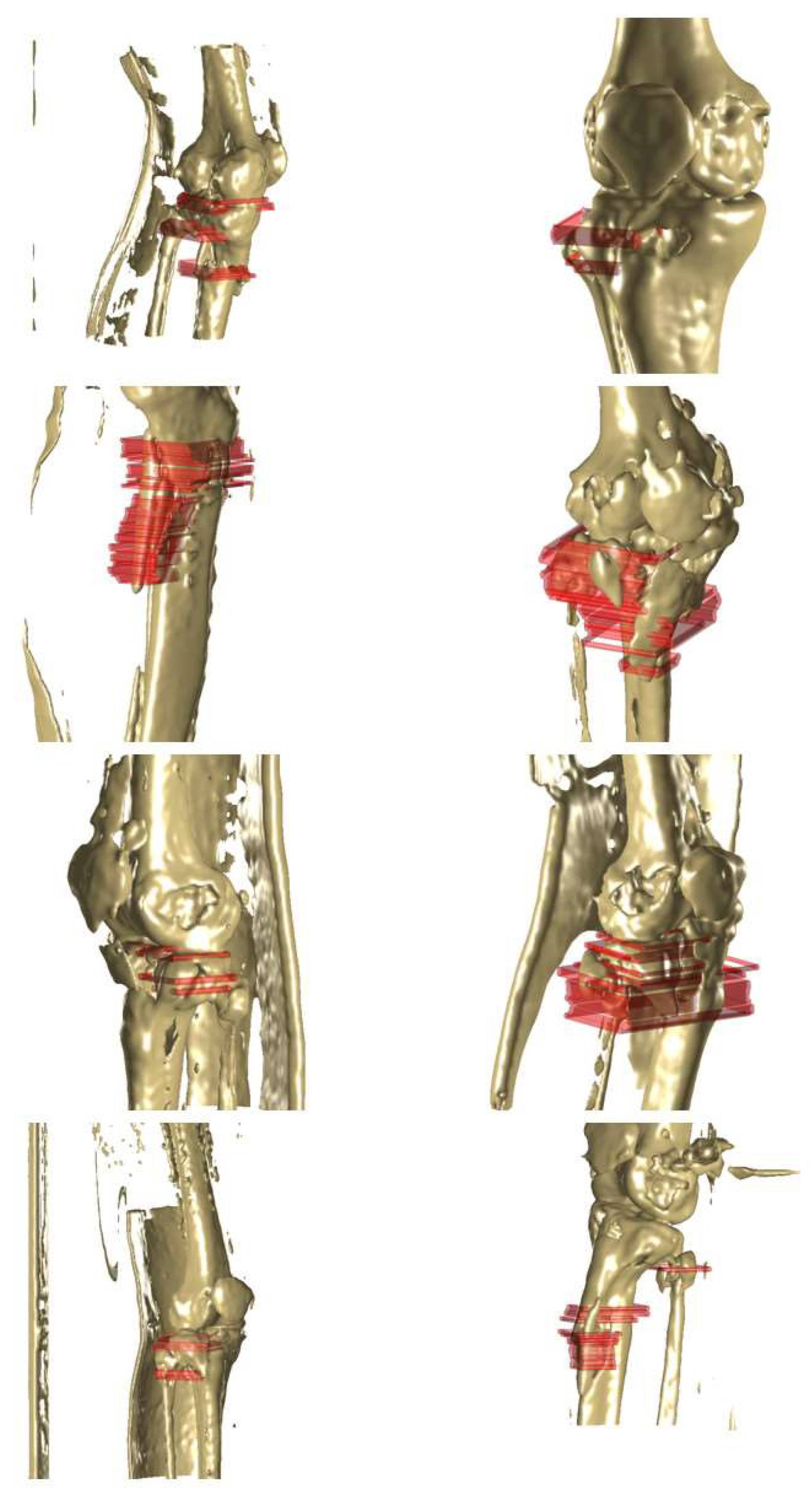 Diagnostics 14 00011 g009
