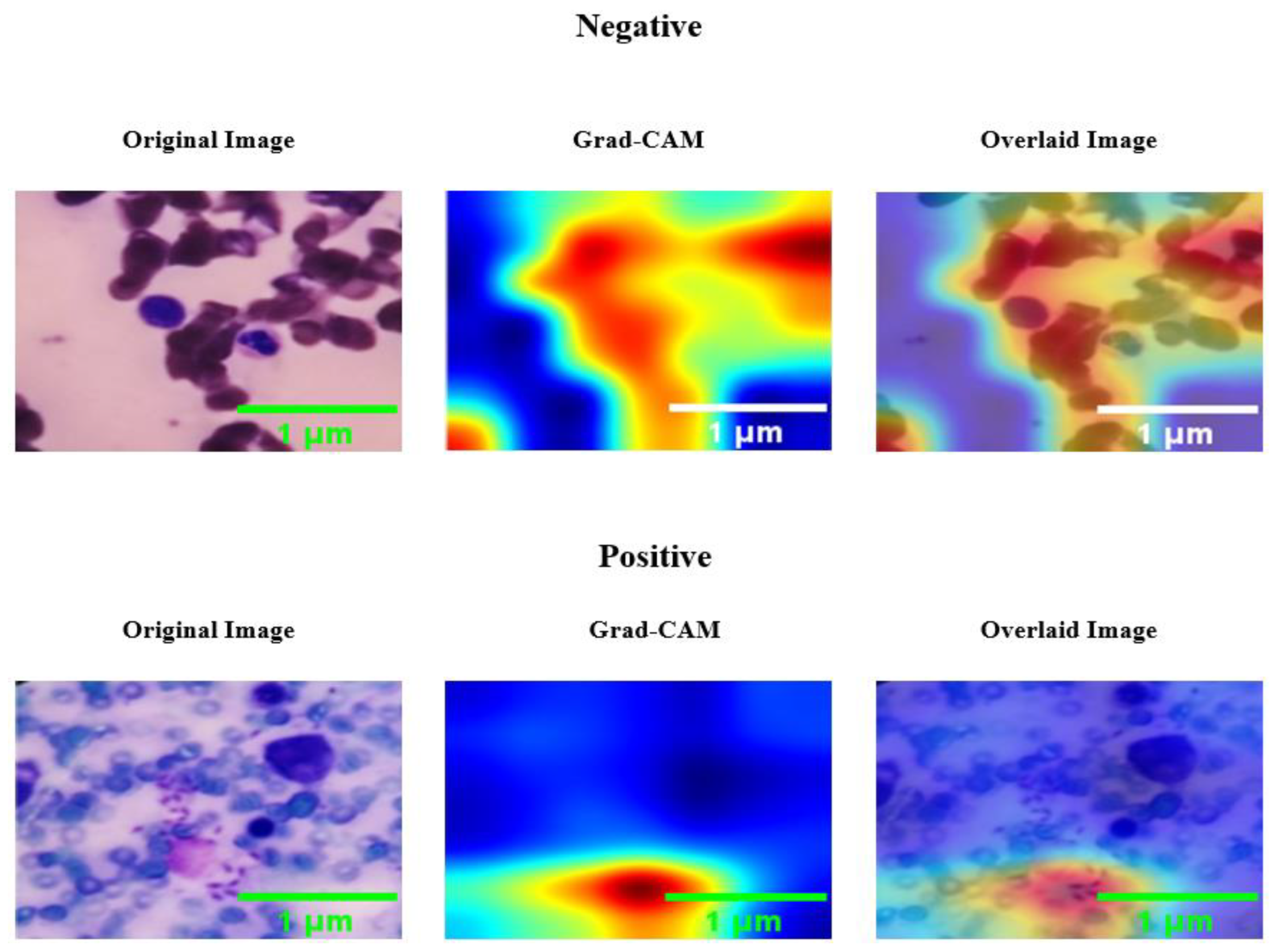 Diagnostics 14 00012 g005