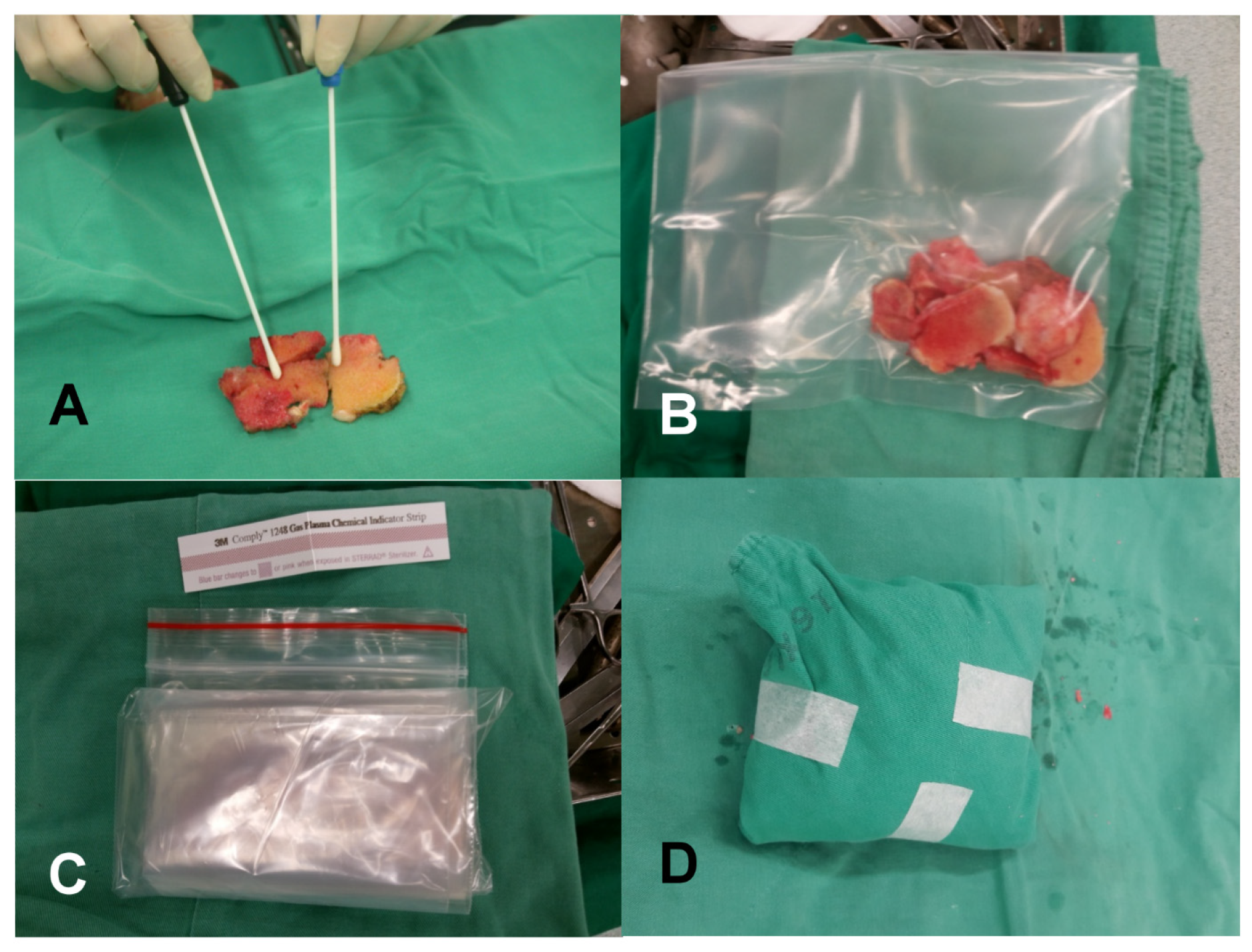 Diagnostics 14 00015 g001