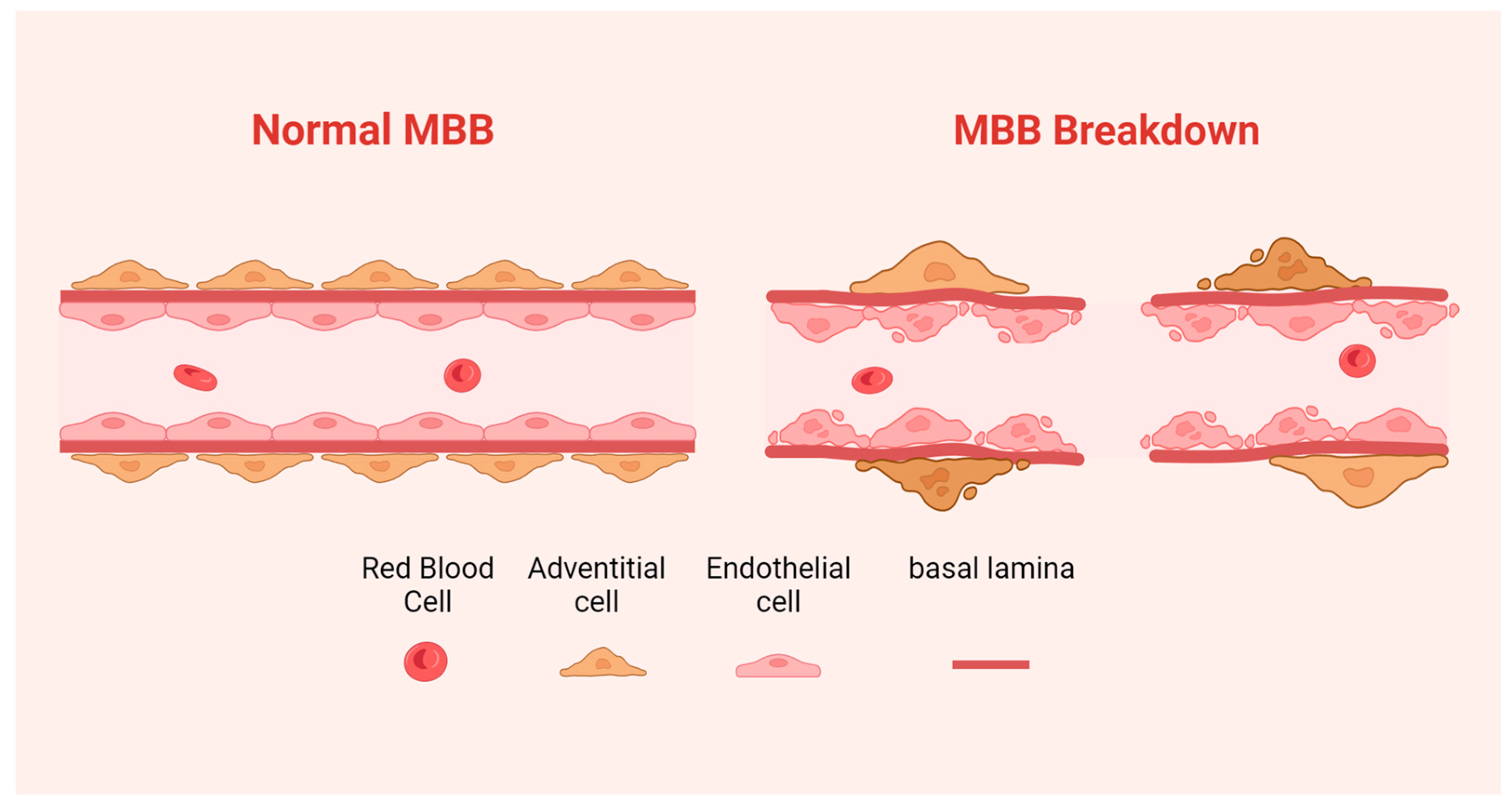 Diagnostics 14 00018 g001 Diagnostics 14 00018 g001