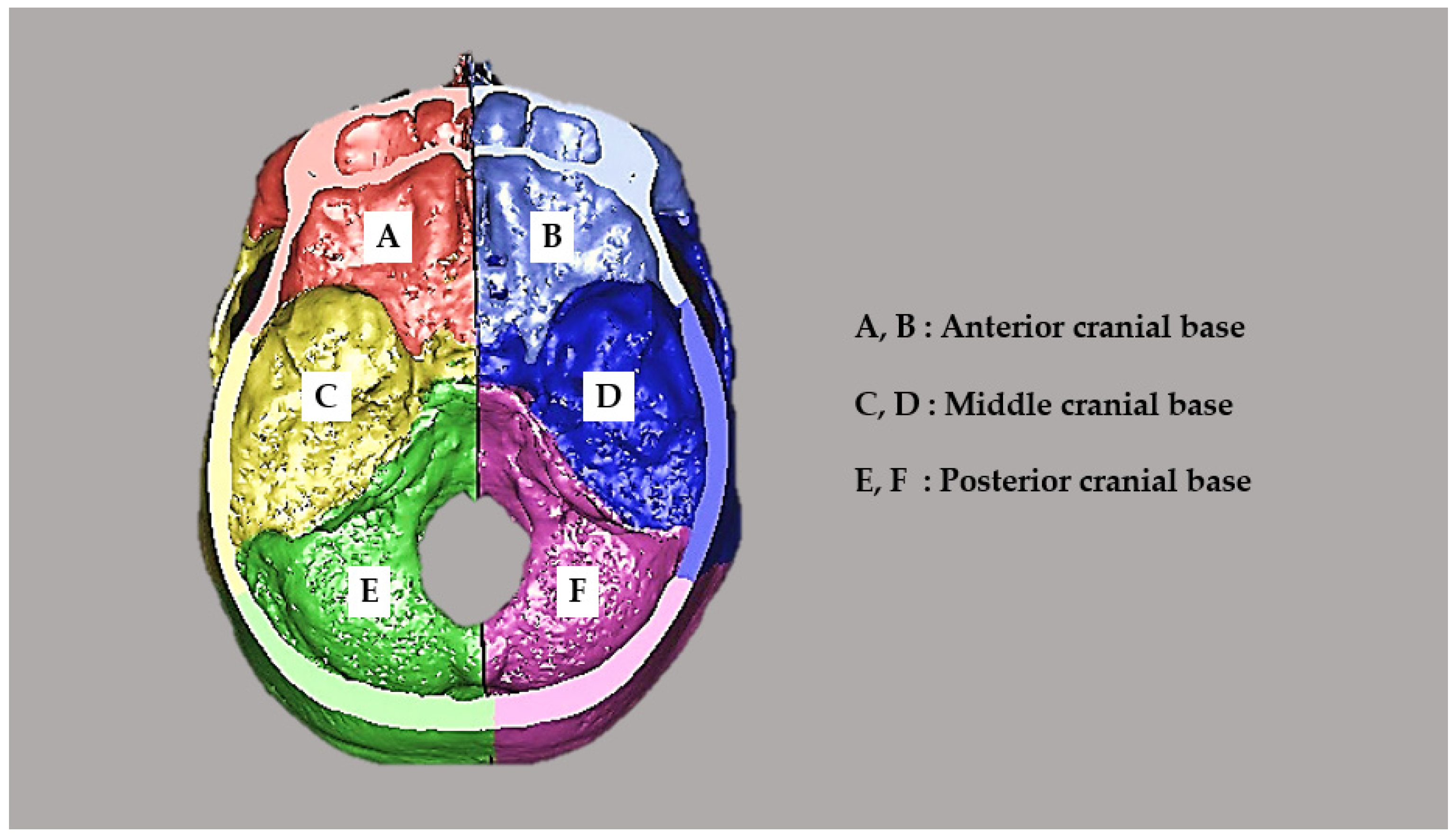 Diagnostics 14 00024 g002