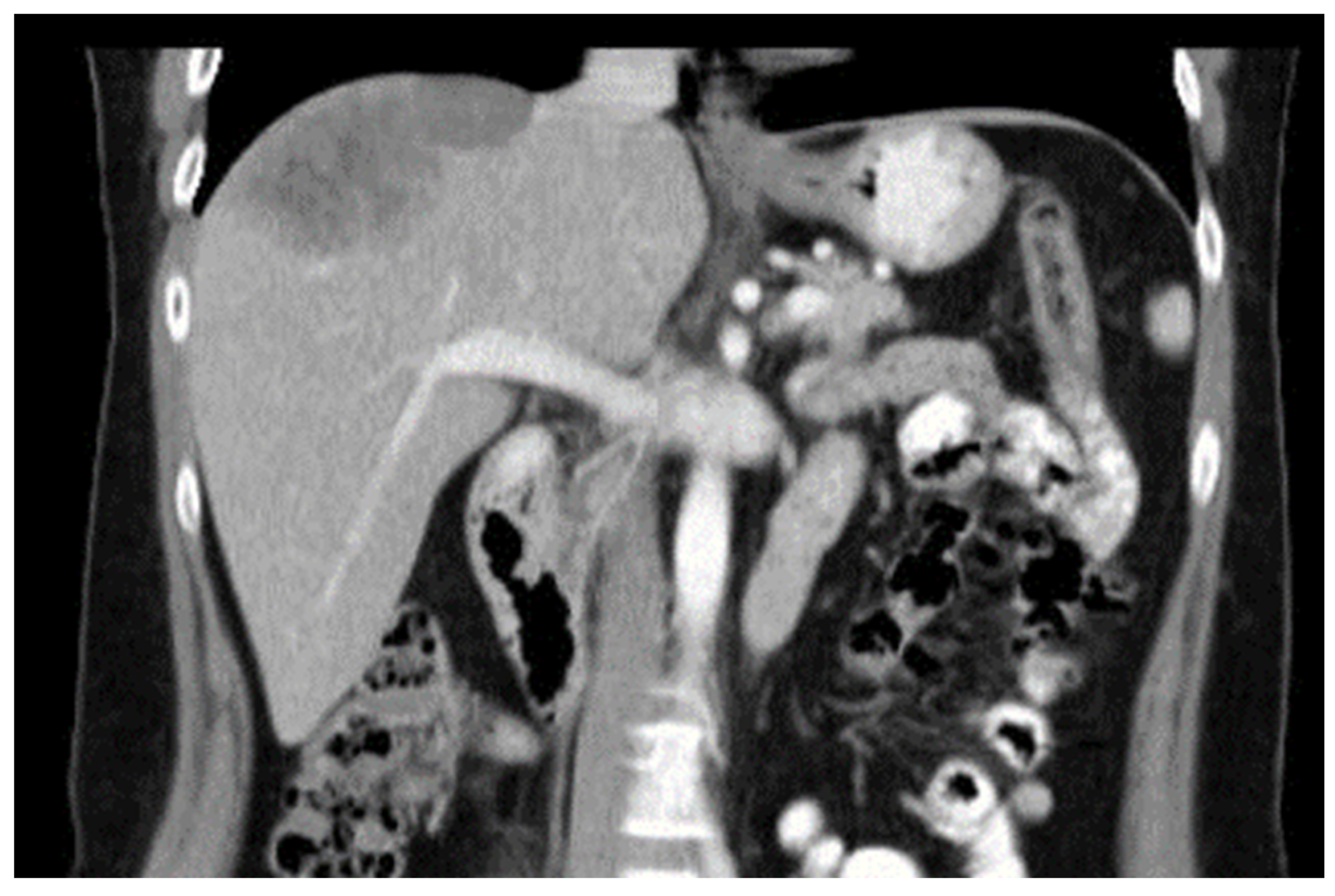 Diagnostics 14 00026 g001