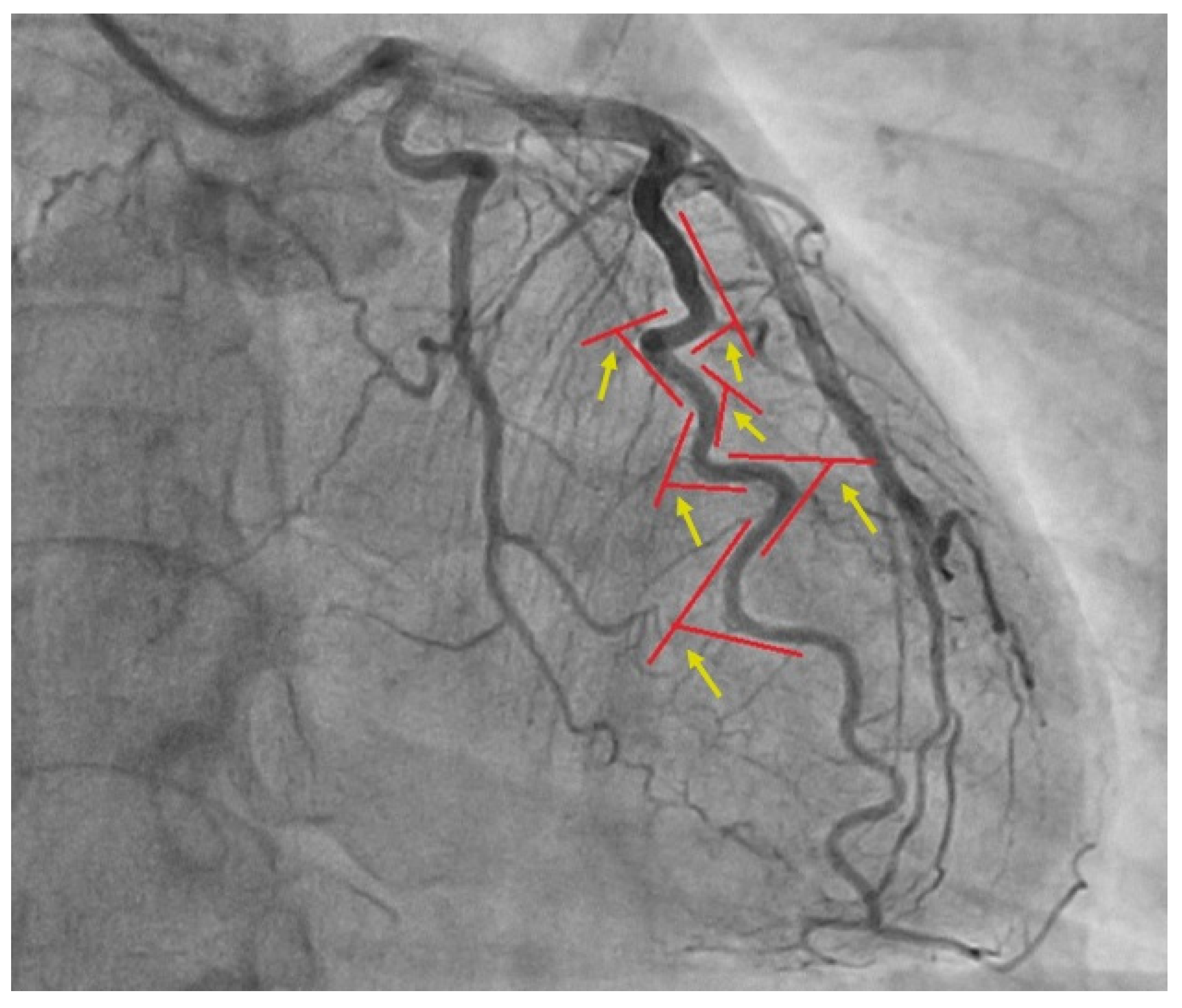 Diagnostics 14 00035 g002
