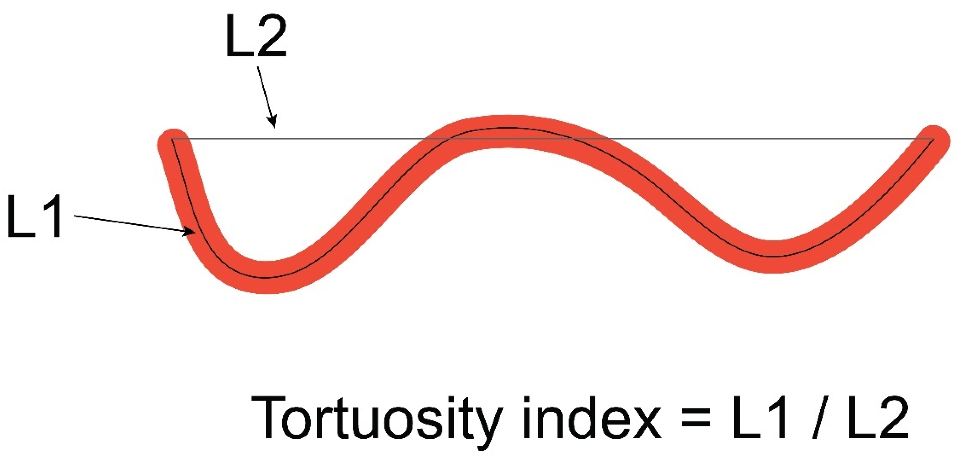 Diagnostics 14 00035 g003