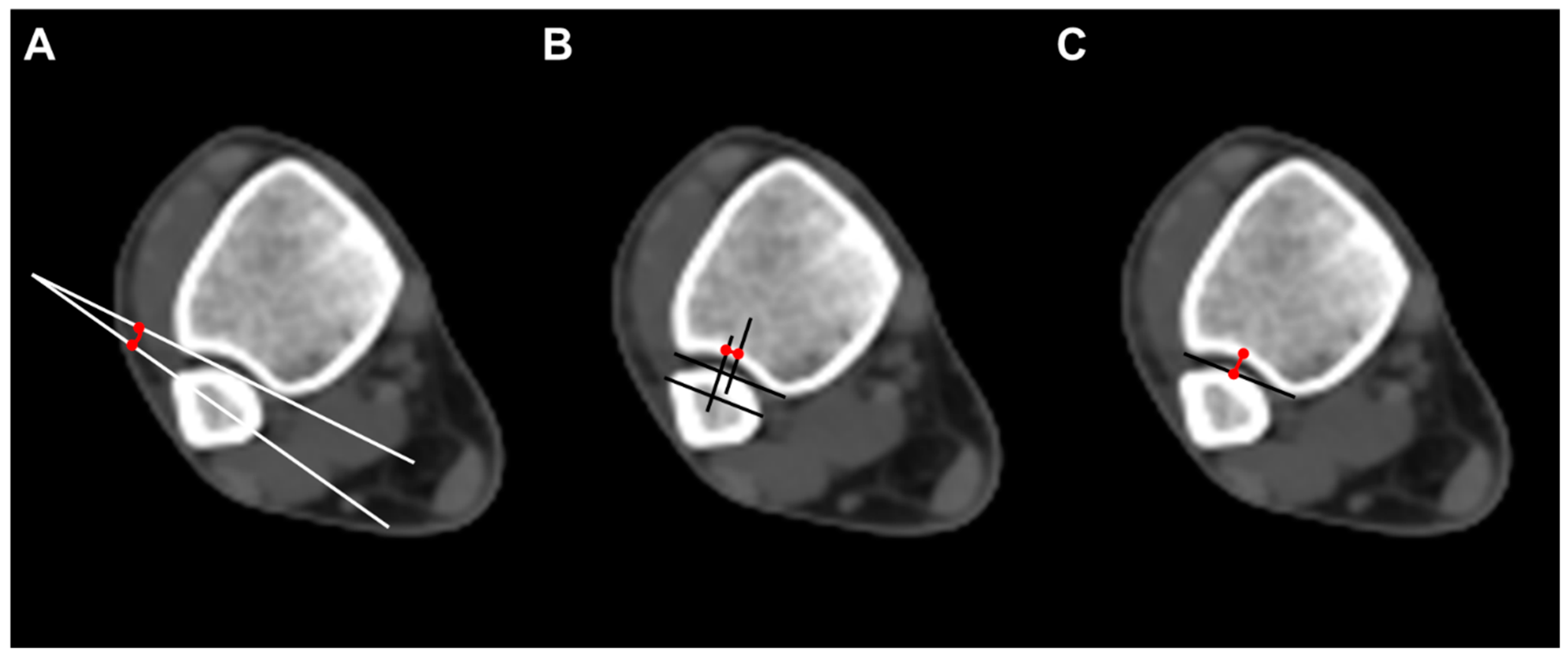 Diagnostics 14 00036 g002