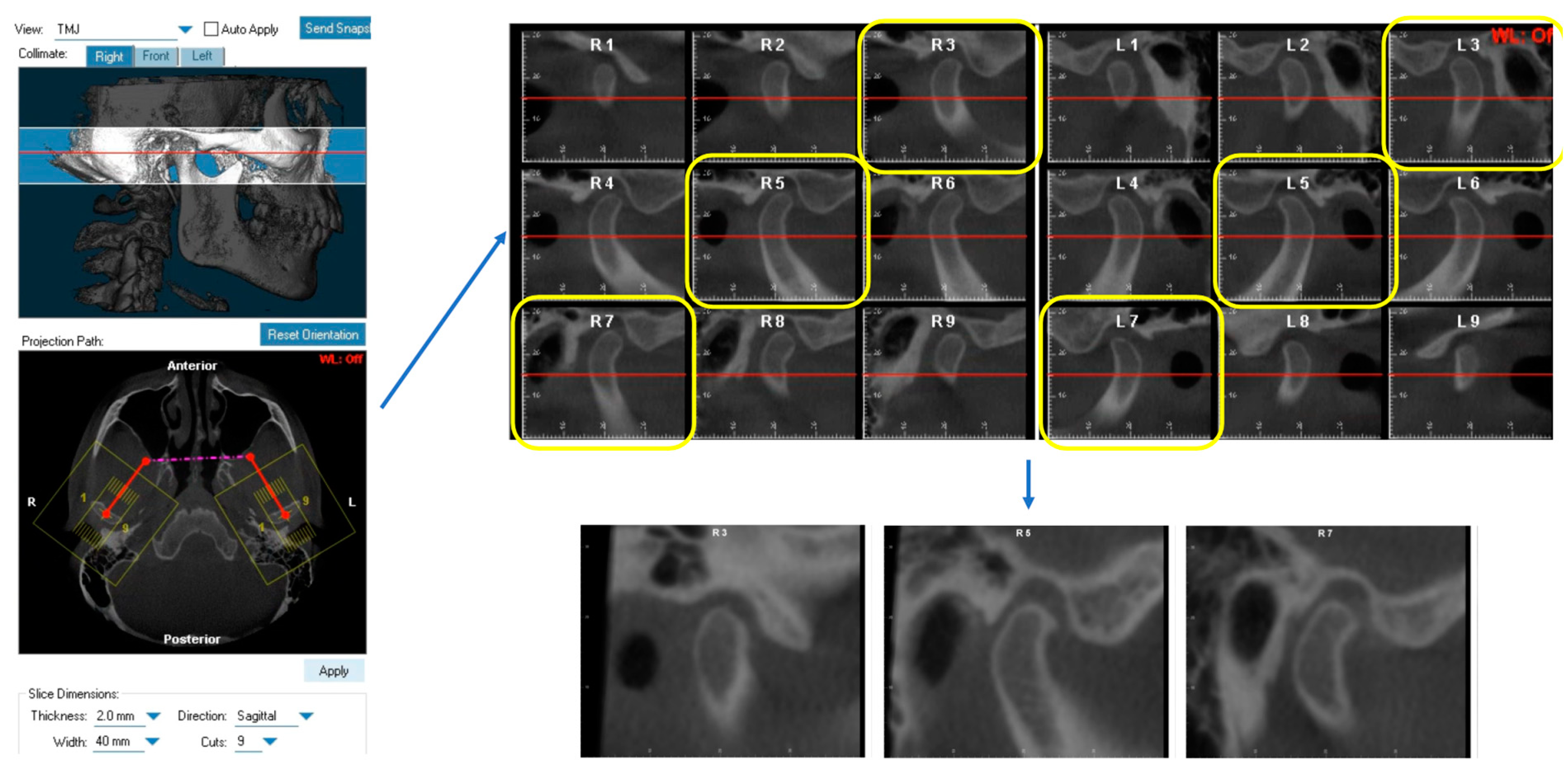 Diagnostics 14 00044 g001