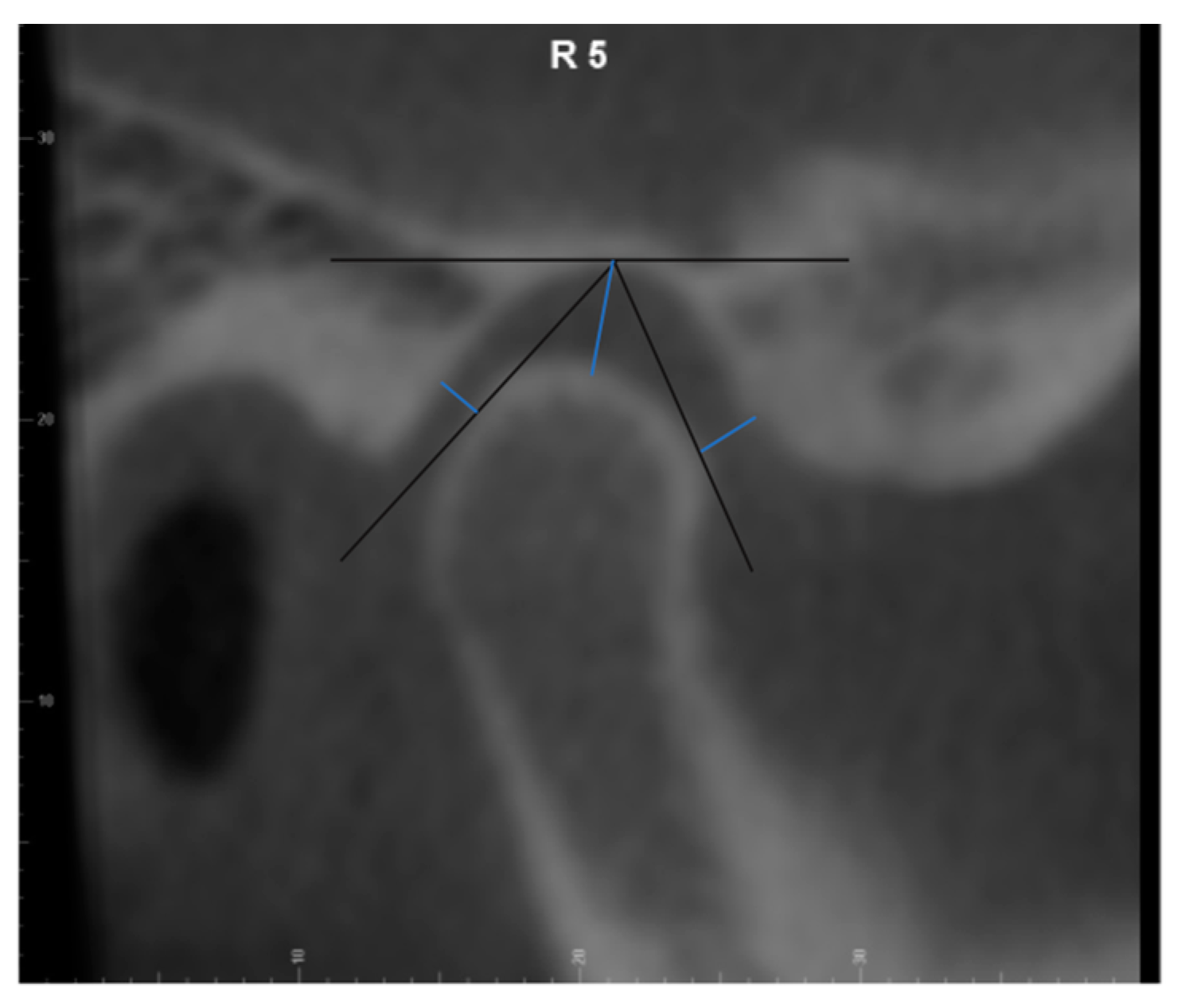 Diagnostics 14 00044 g002