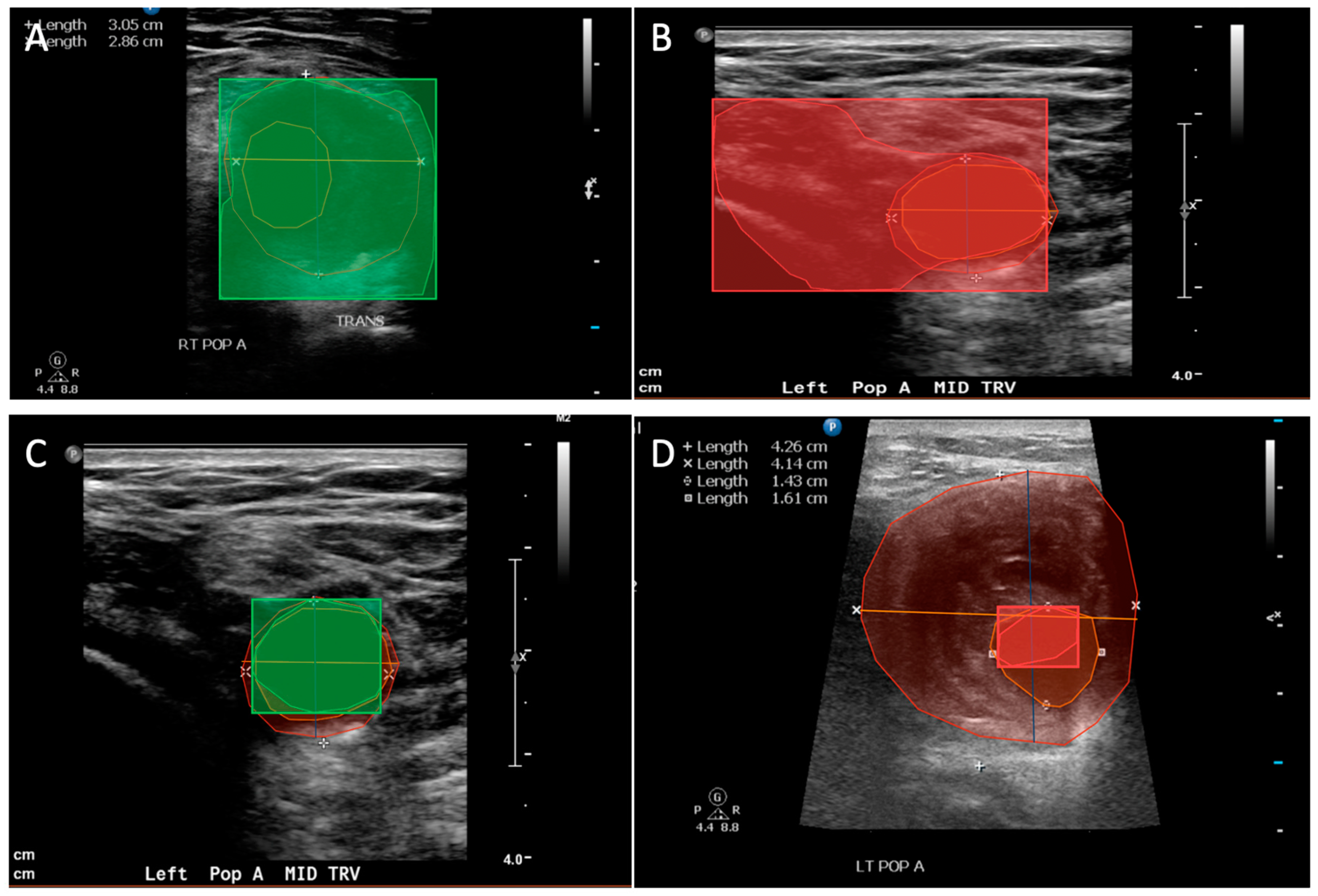 Diagnostics 14 00046 g001