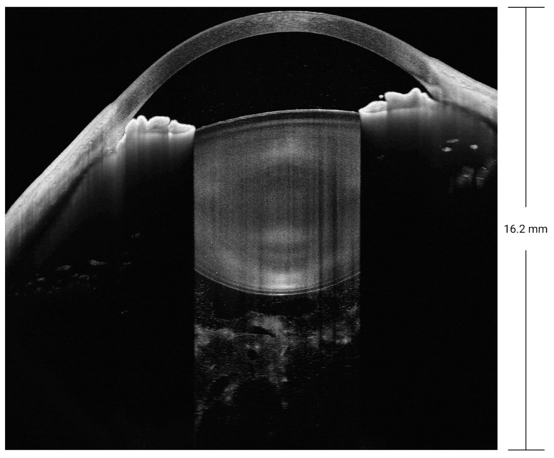 Diagnostics 14 00047 g008