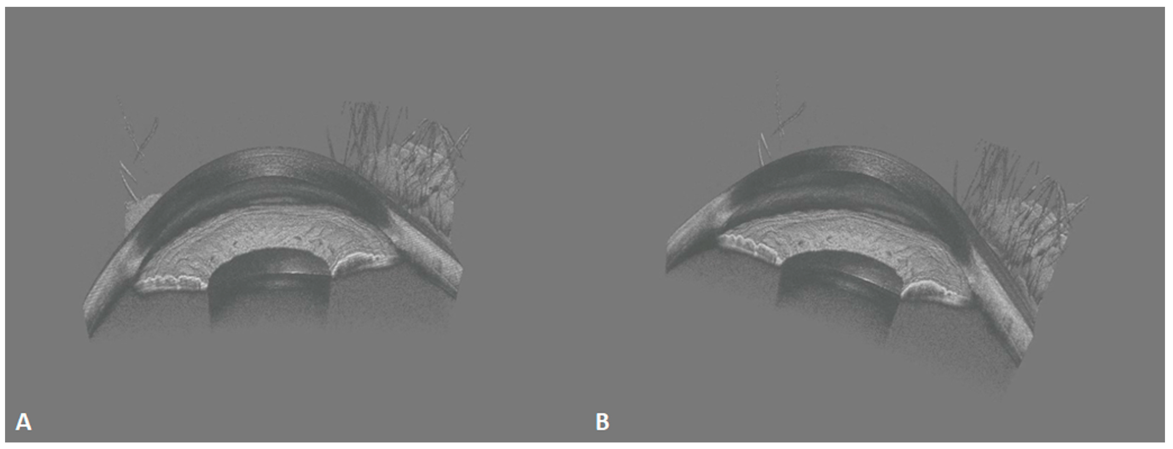Diagnostics 14 00047 g009