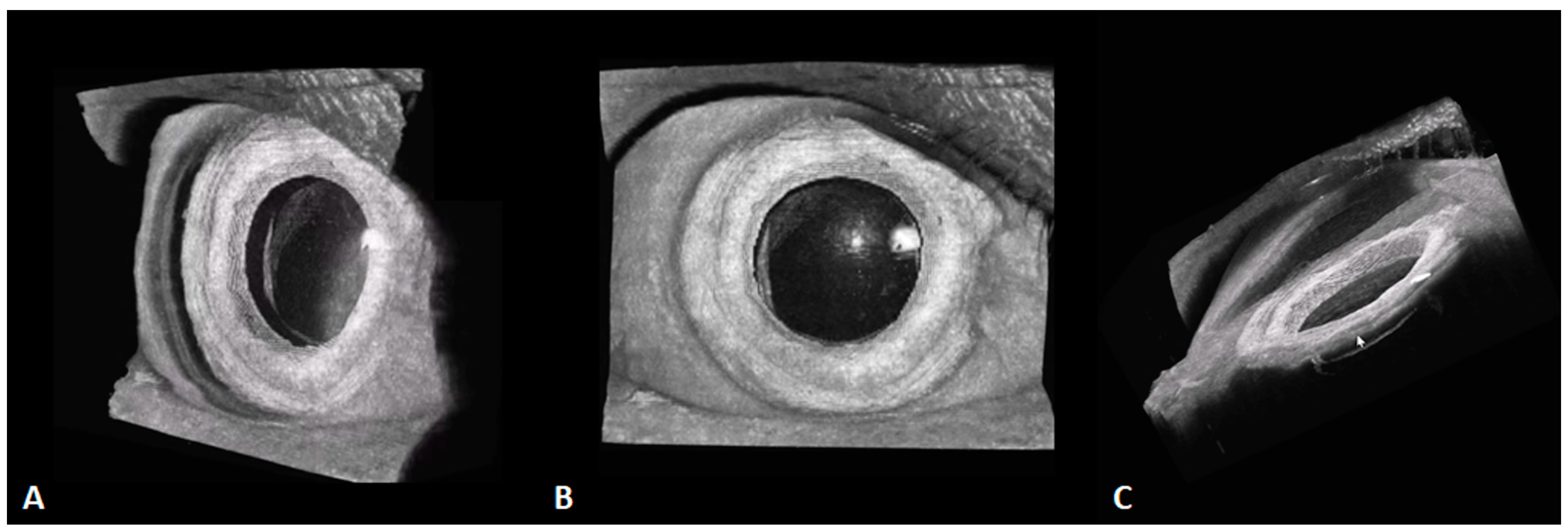 Diagnostics 14 00047 g010