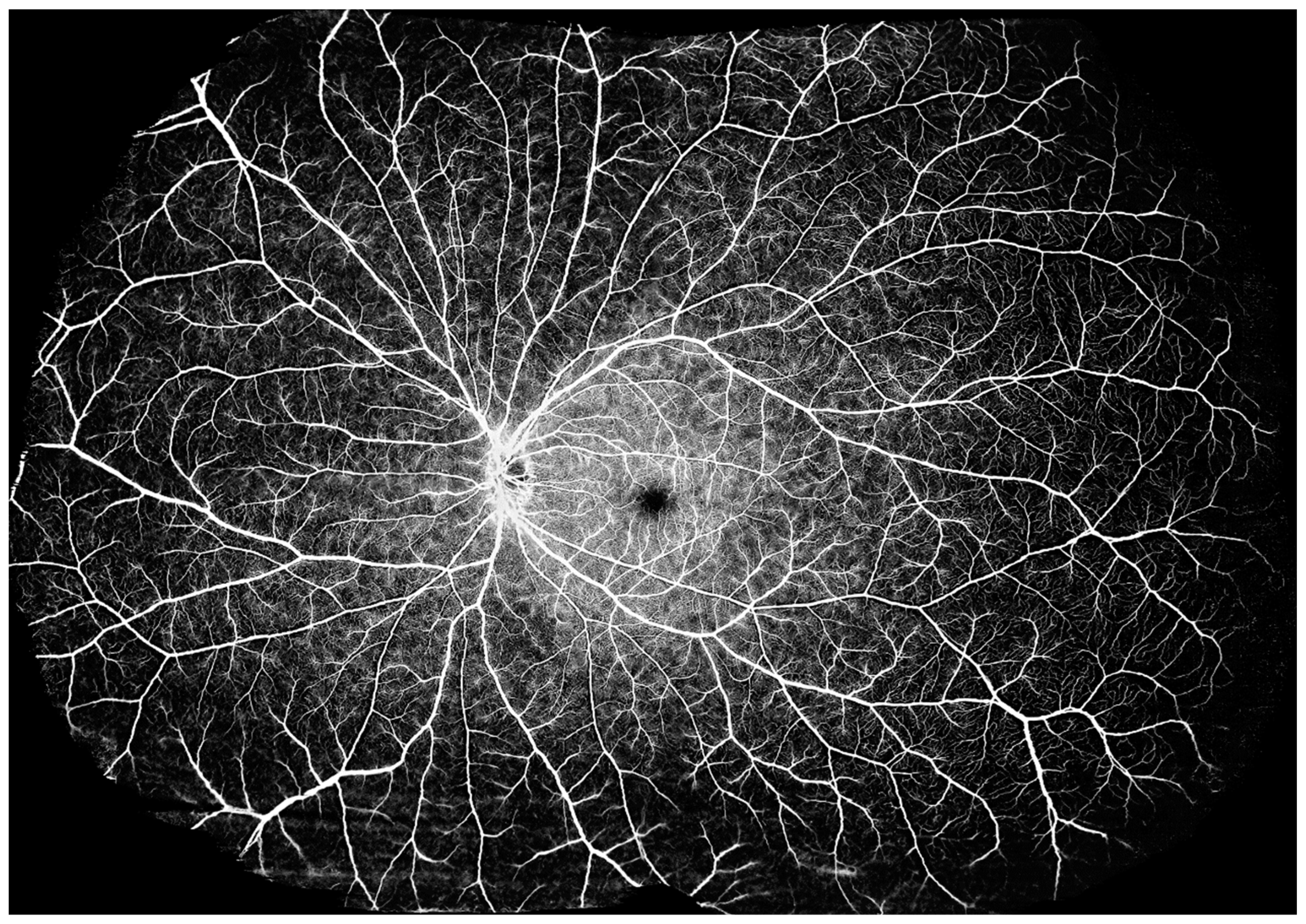 Diagnostics 14 00047 g014