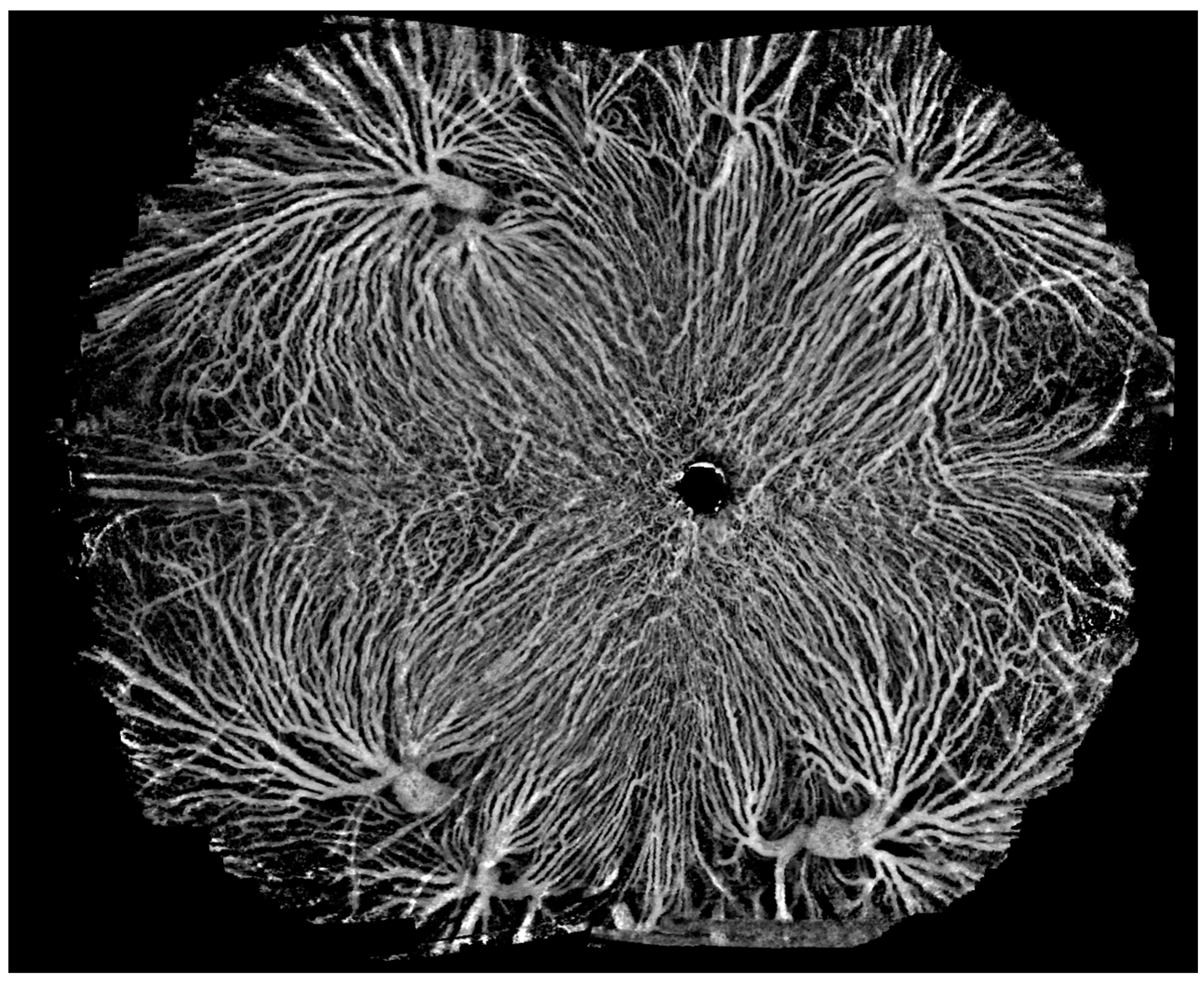 Diagnostics 14 00047 g015