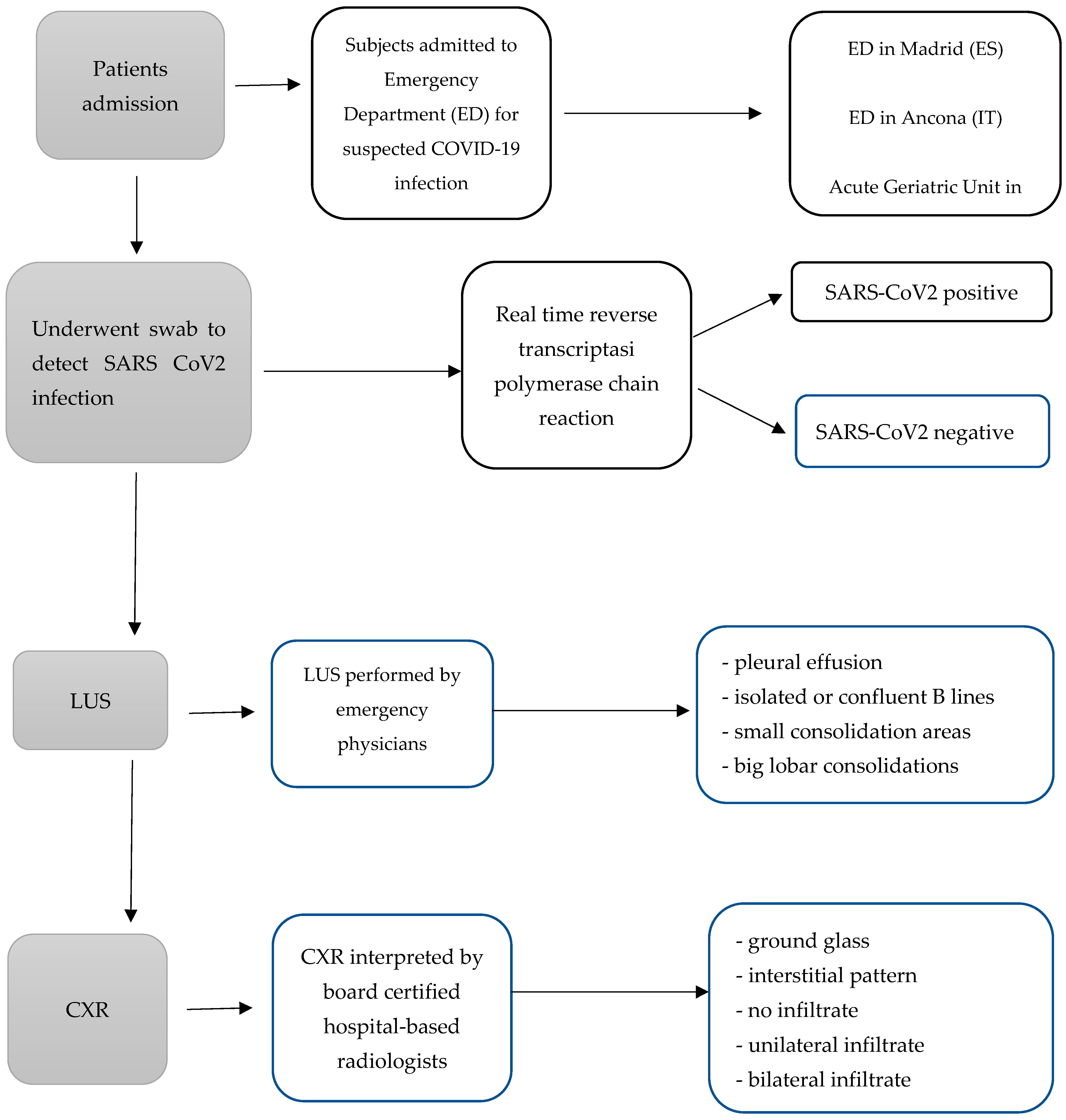 Diagnostics 14 00051 g001
