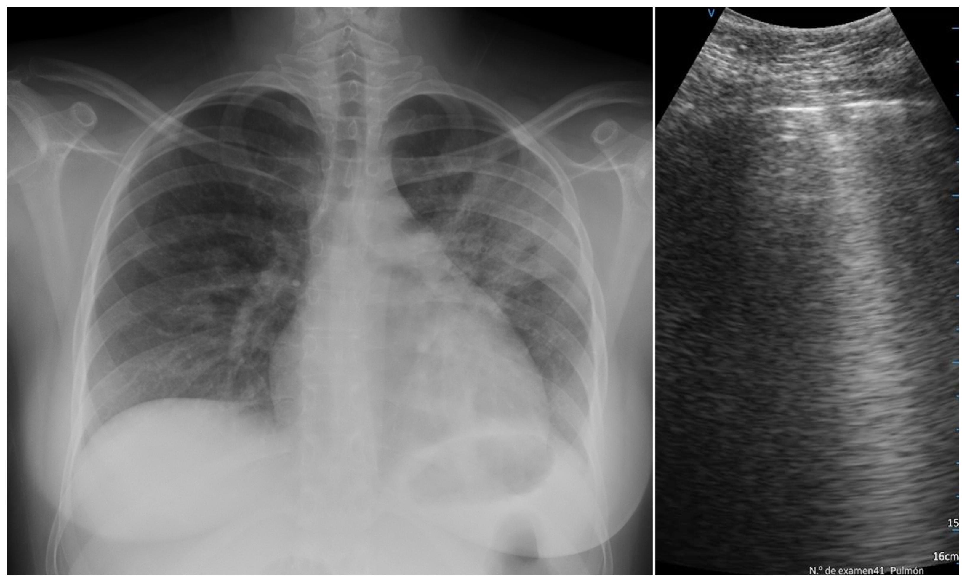 Diagnostics 14 00051 g002