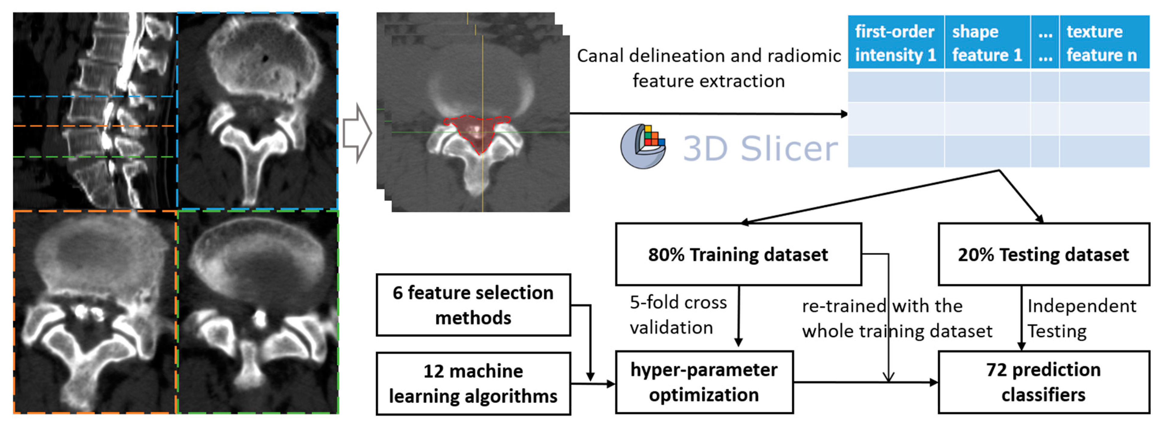 Diagnostics 14 00053 g001