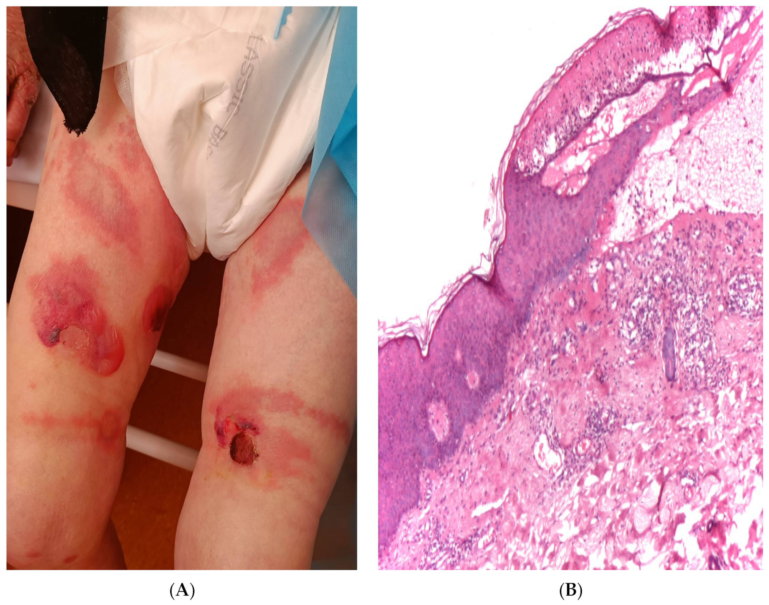 Diagnostics 14 00057 g002
