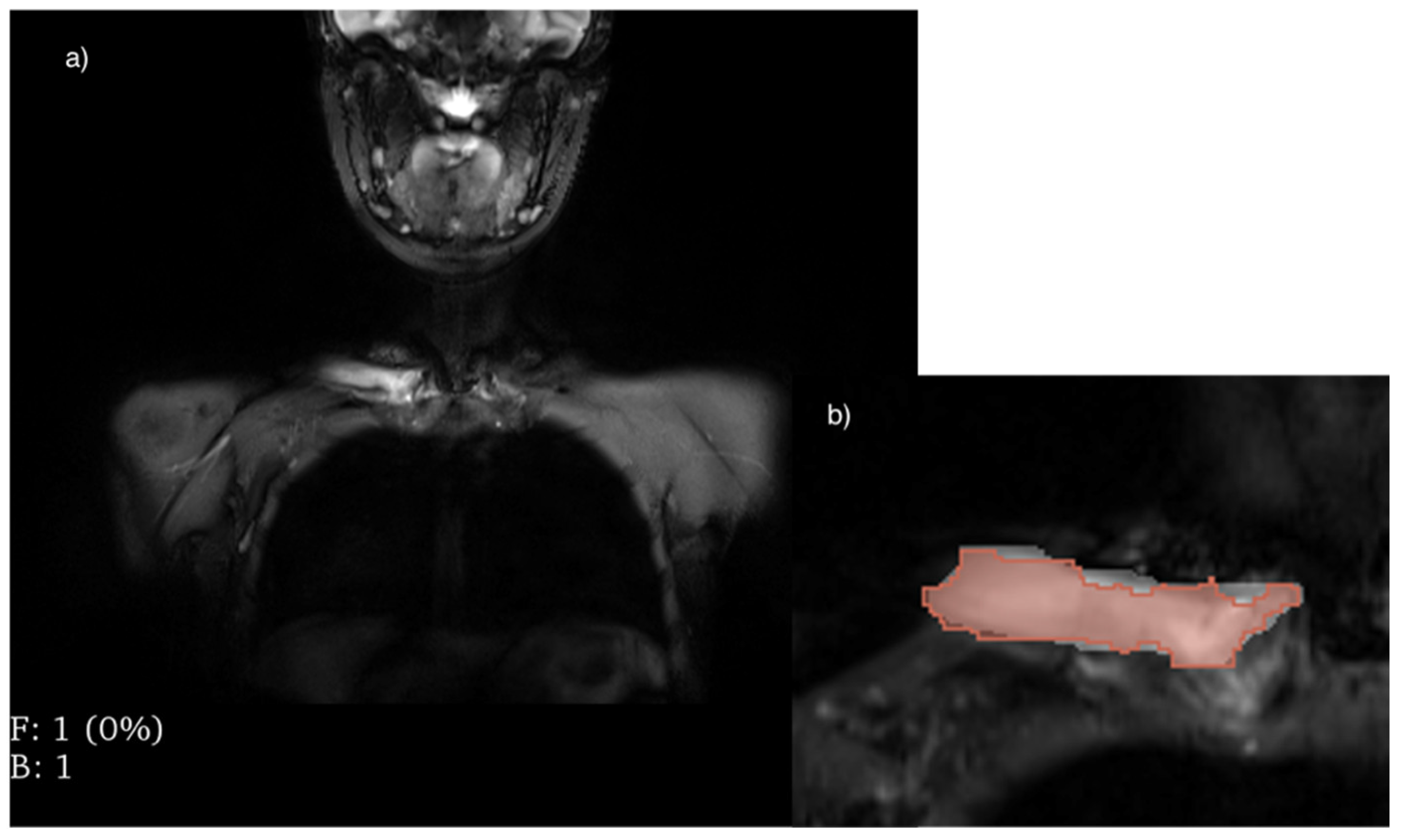 Diagnostics 14 00061 g002
