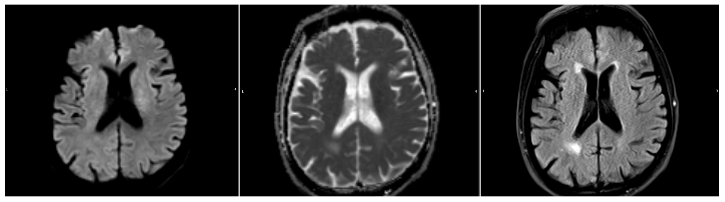 Diagnostics 14 00069 g002