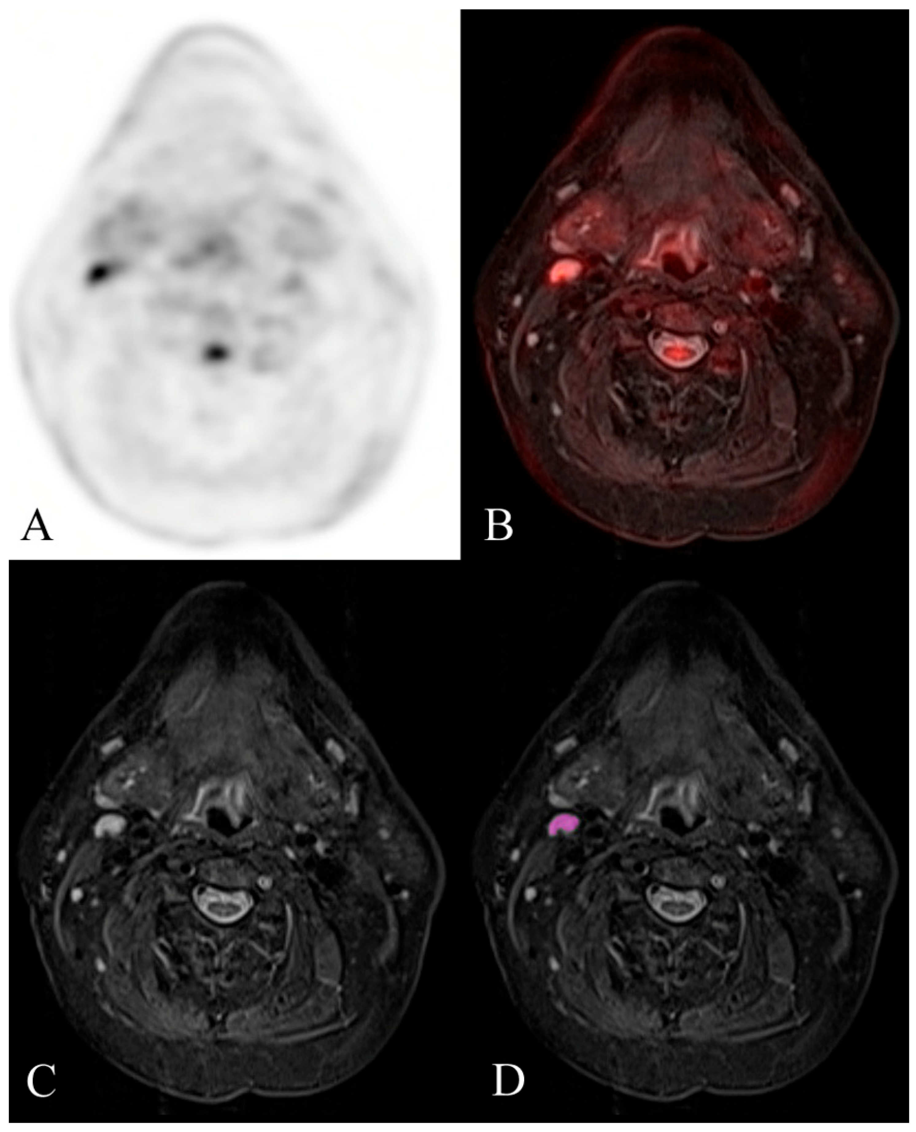 Diagnostics 14 00071 g003
