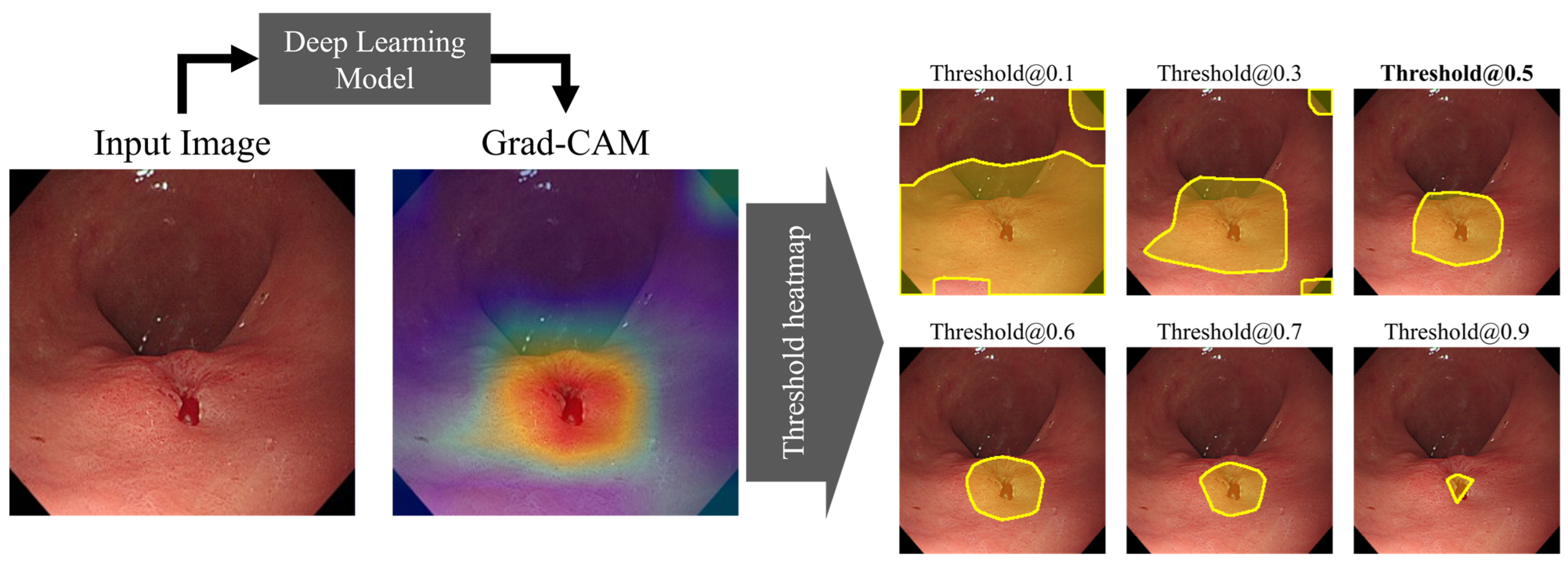 Diagnostics 14 00075 g004