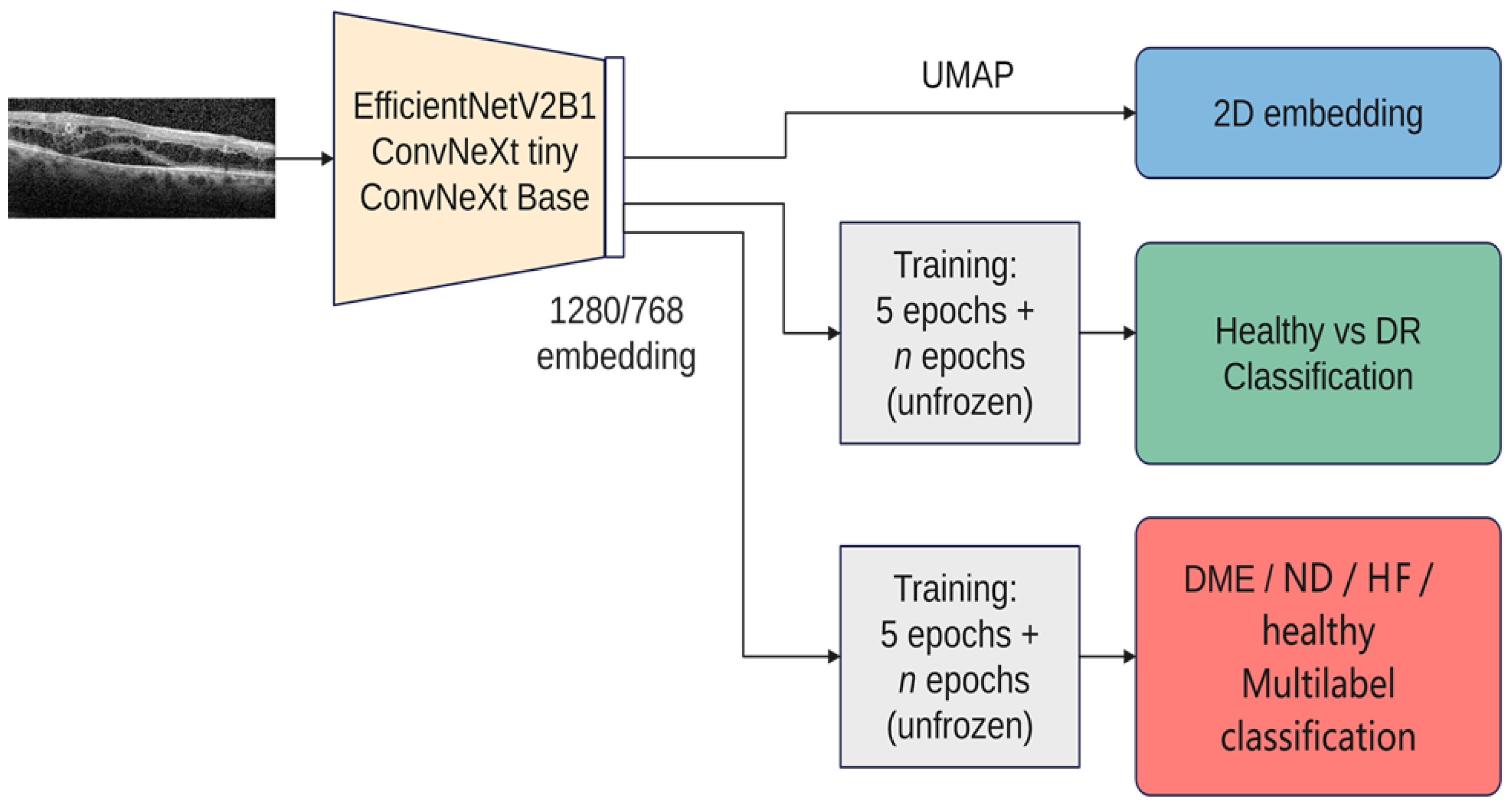 Diagnostics 14 00076 g005