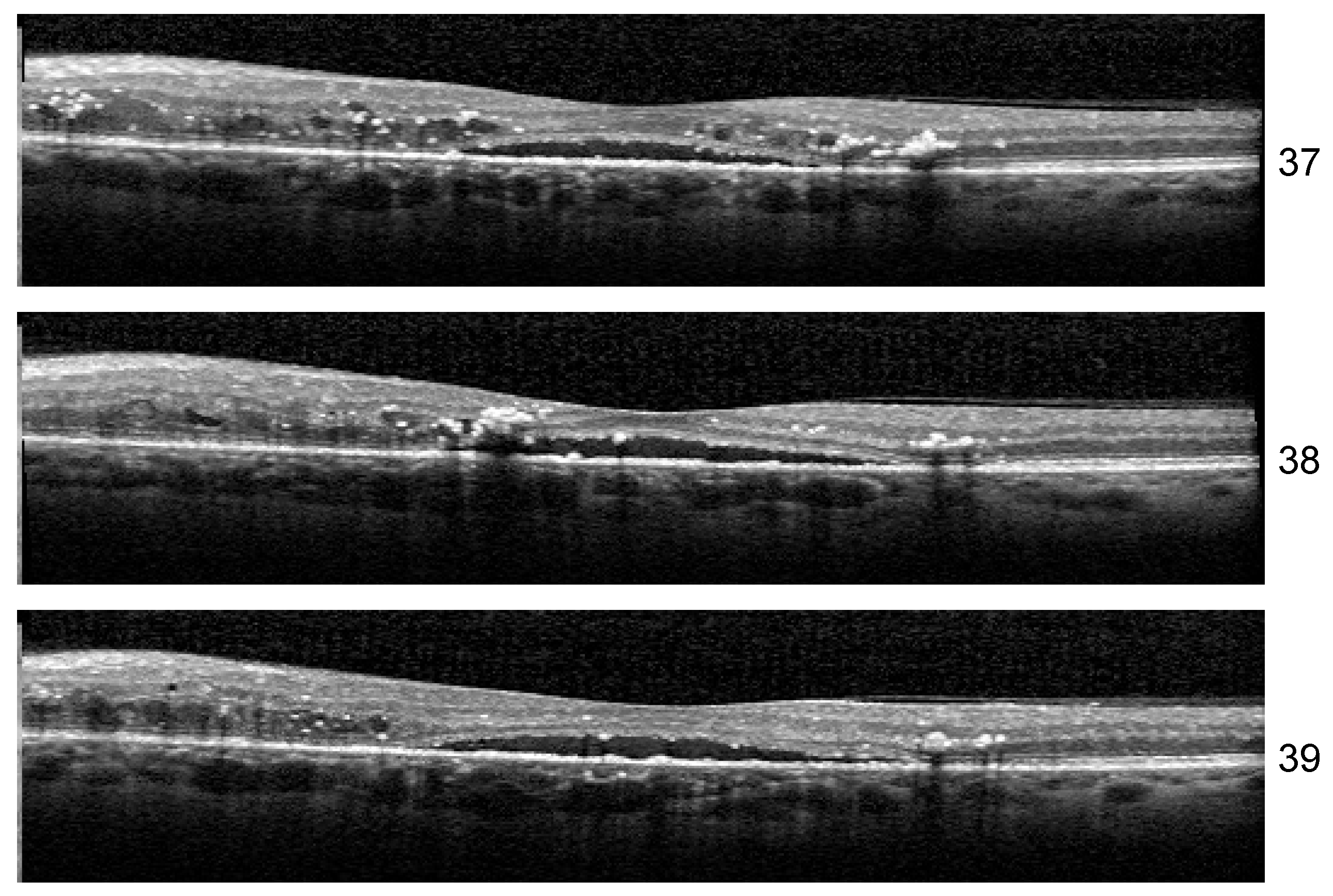 Diagnostics 14 00076 g013