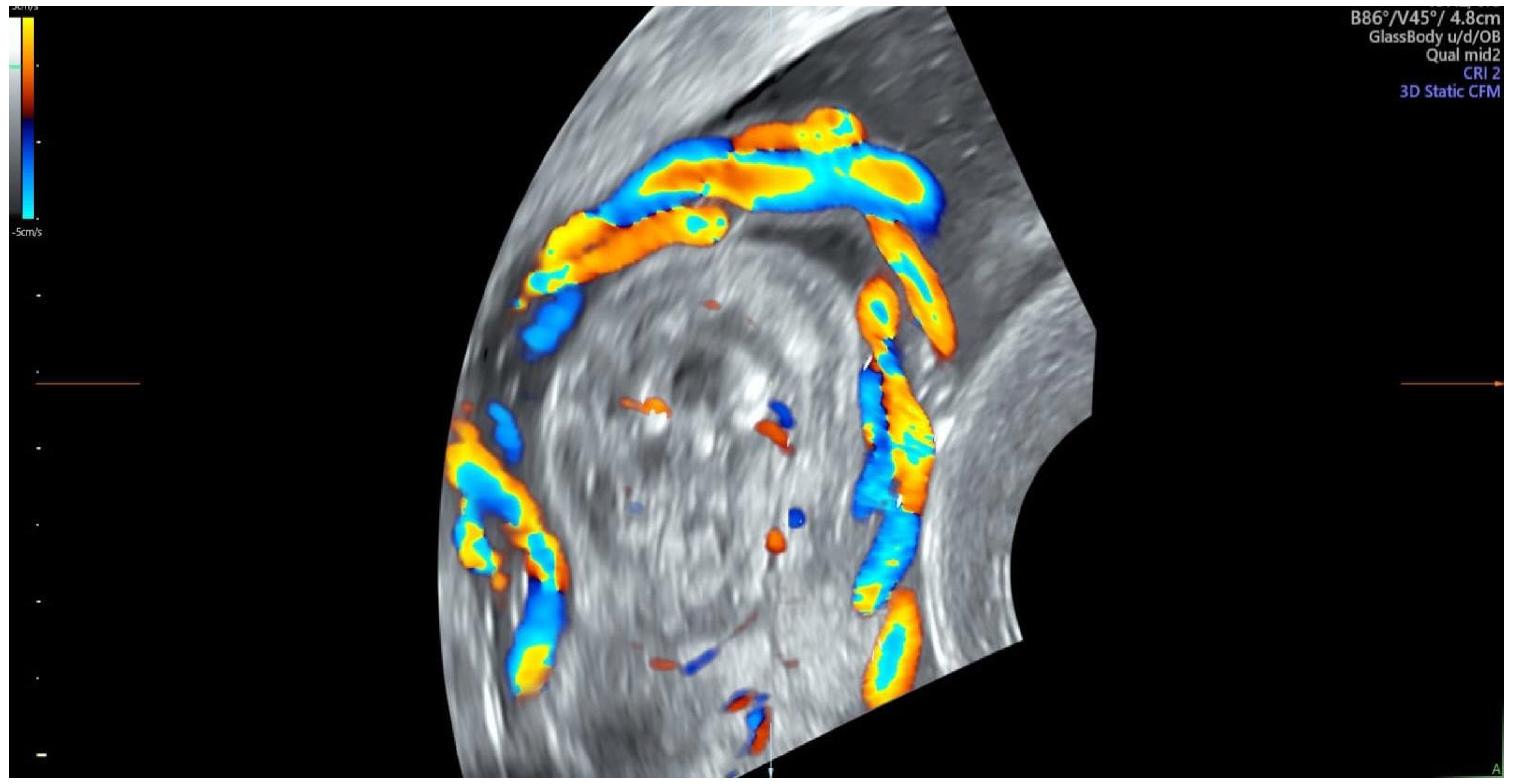 Diagnostics 14 00077 g001